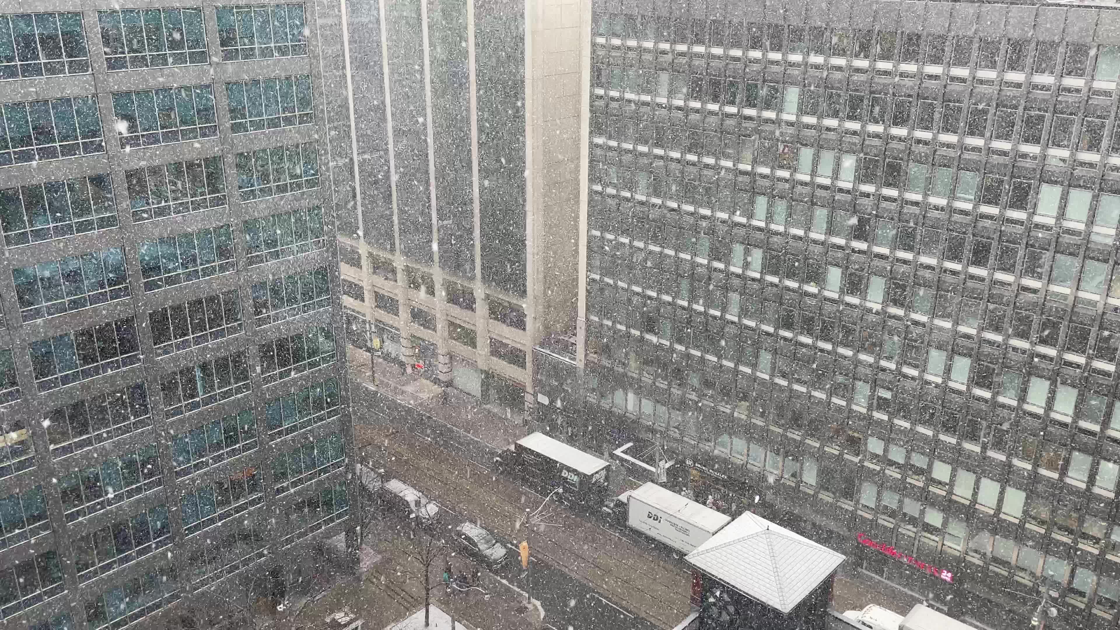 Snowfall in Toronto, Canada