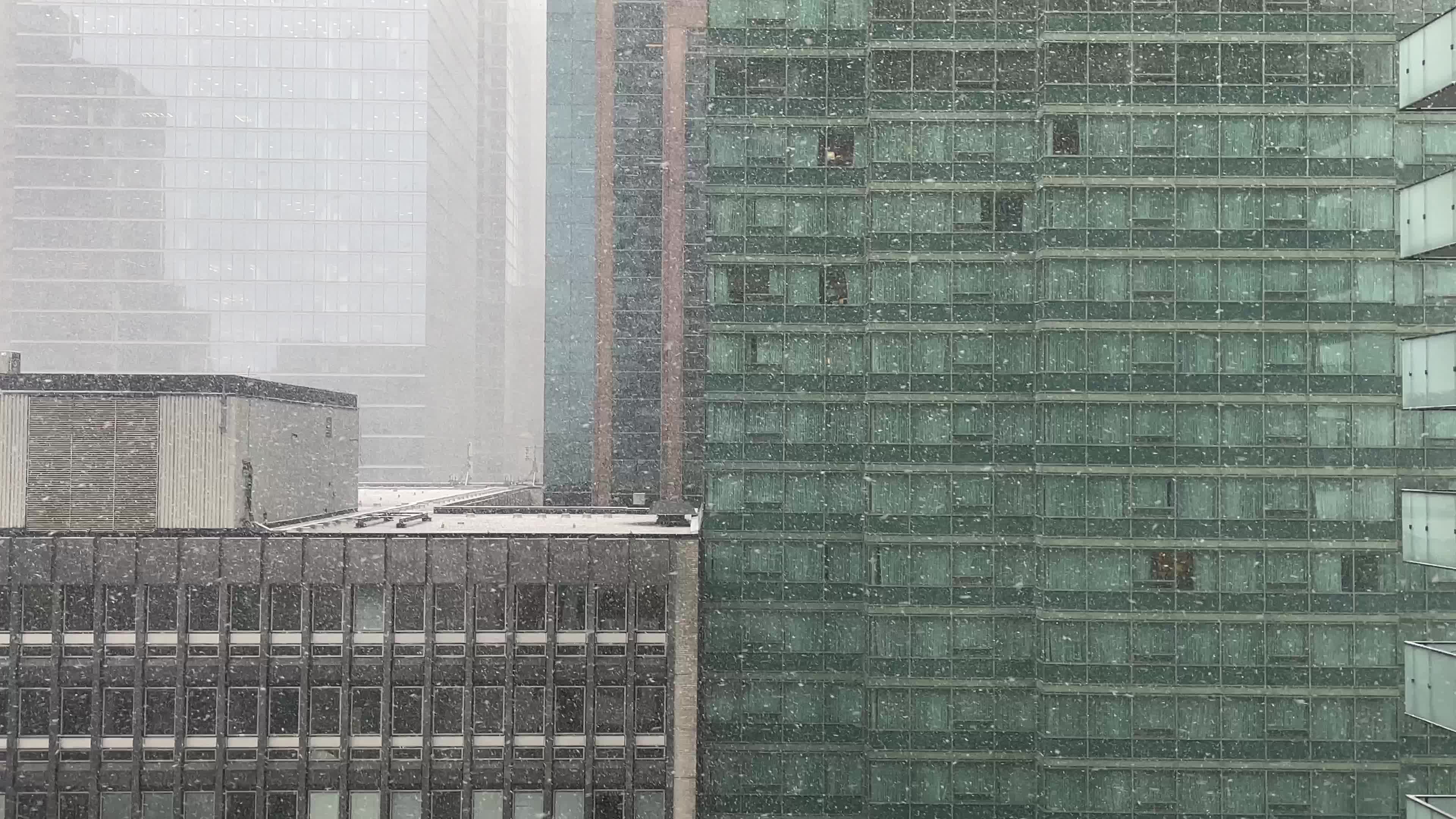 Snowfall in Toronto, Canada