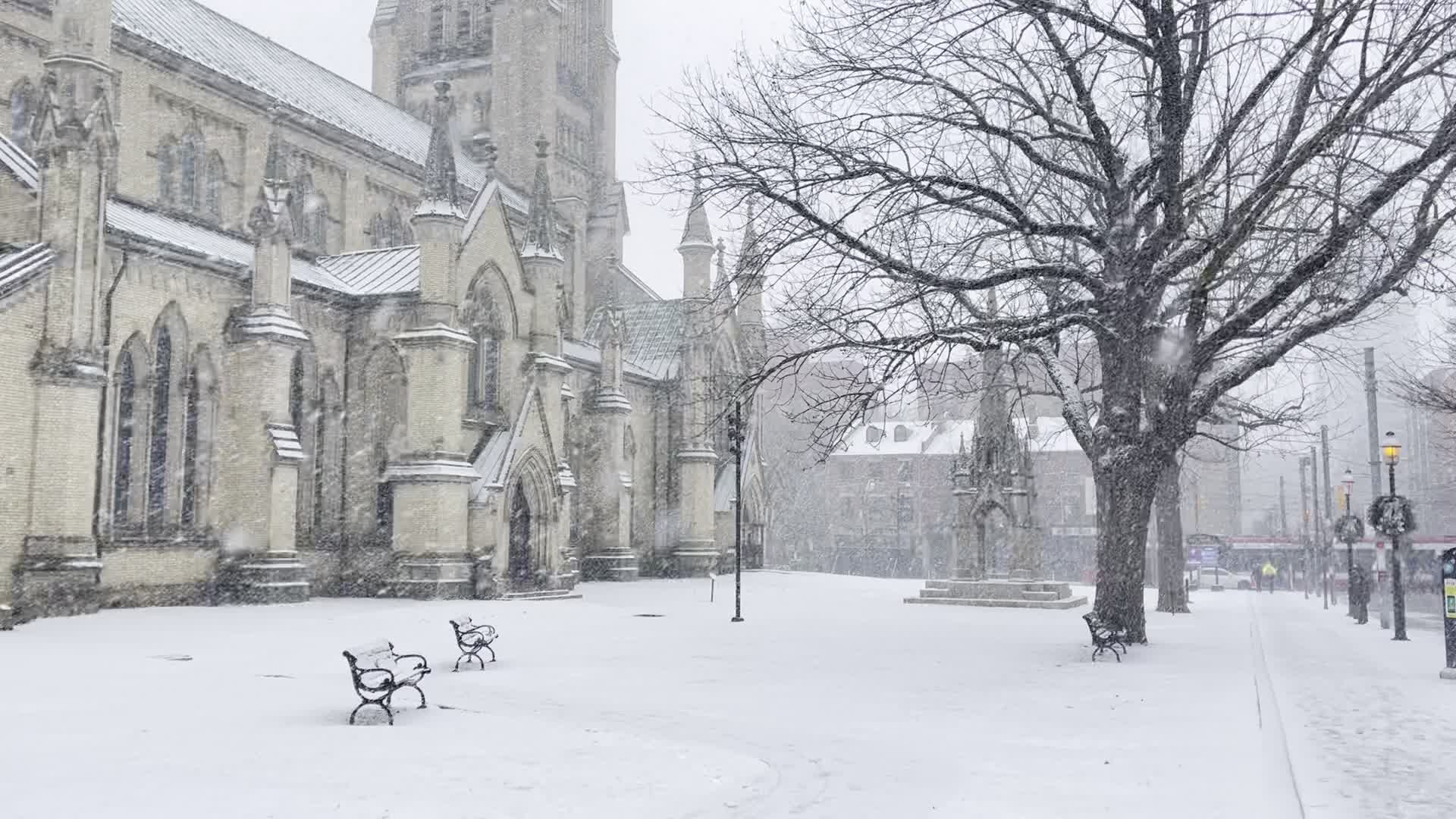 Snowfall in Toronto, Canada