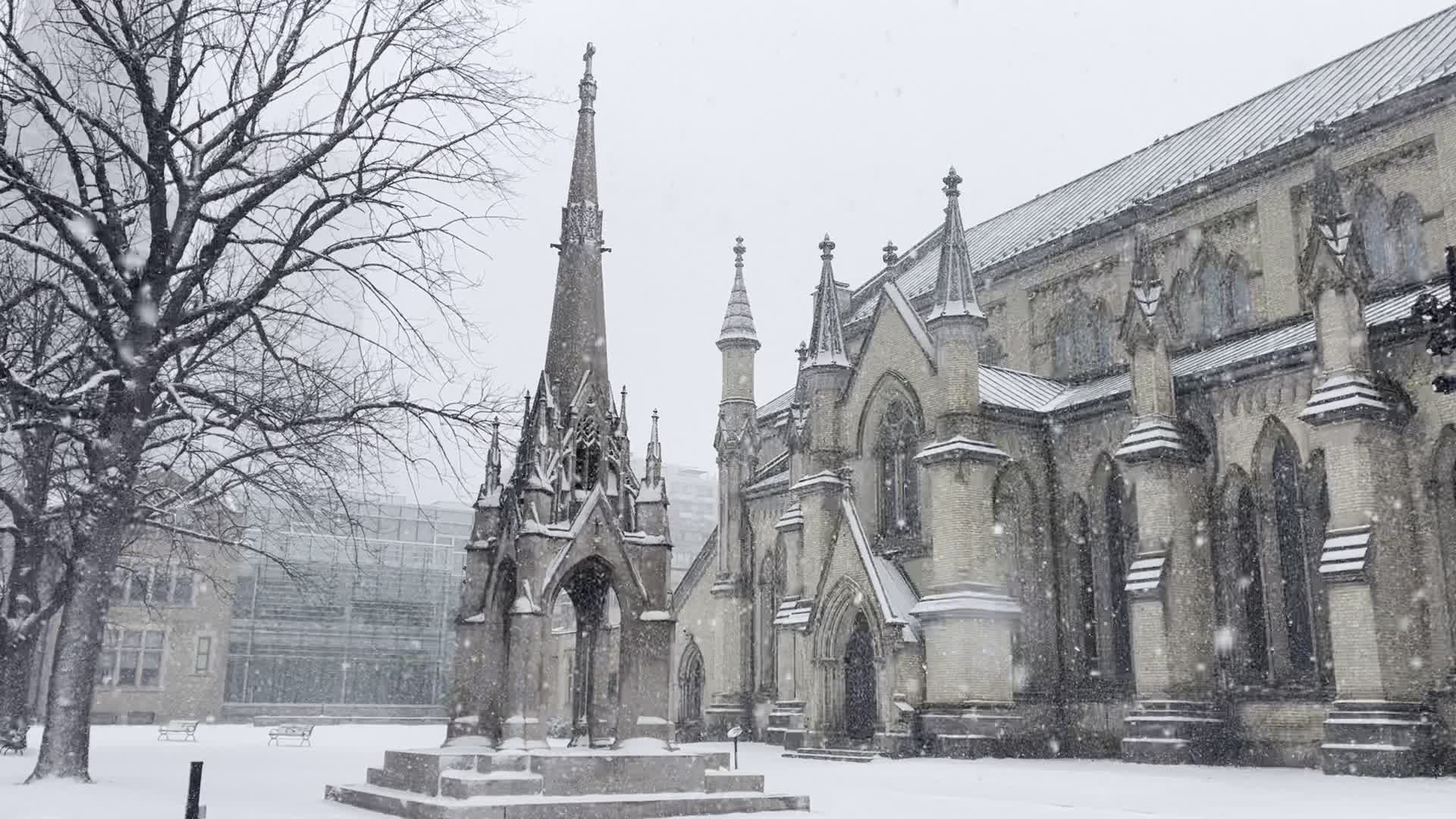 Snowfall in Toronto, Canada