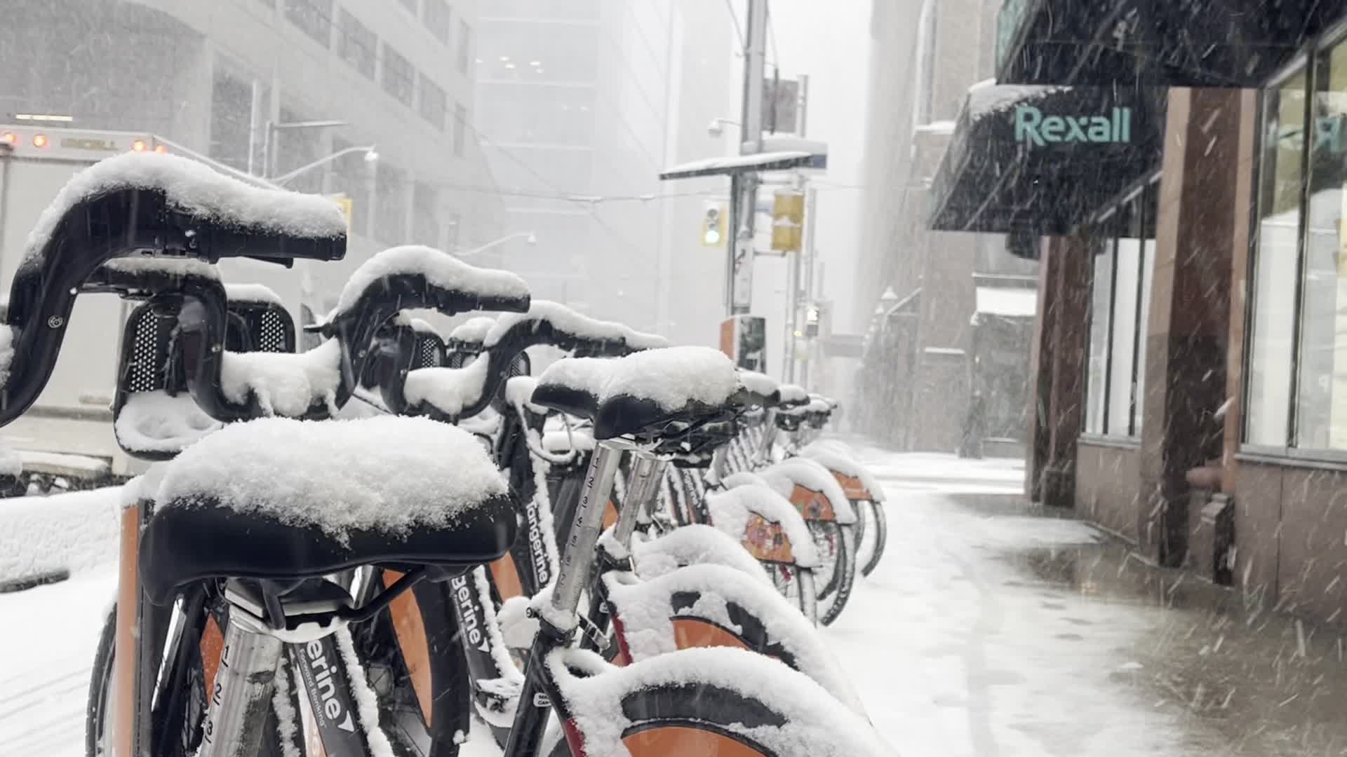 Snowfall in Toronto, Canada