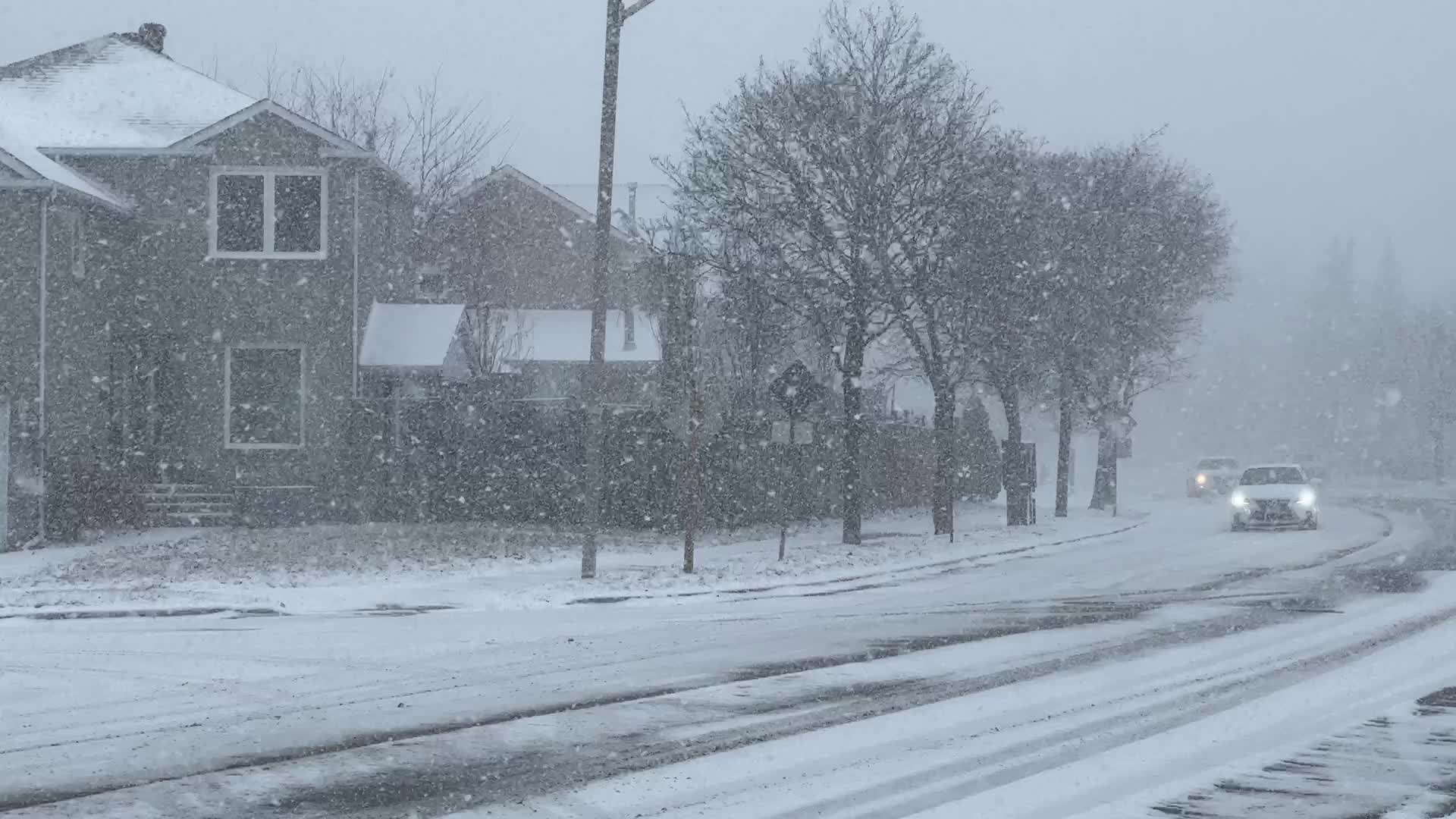 Snowstorm in Toronto, Canada