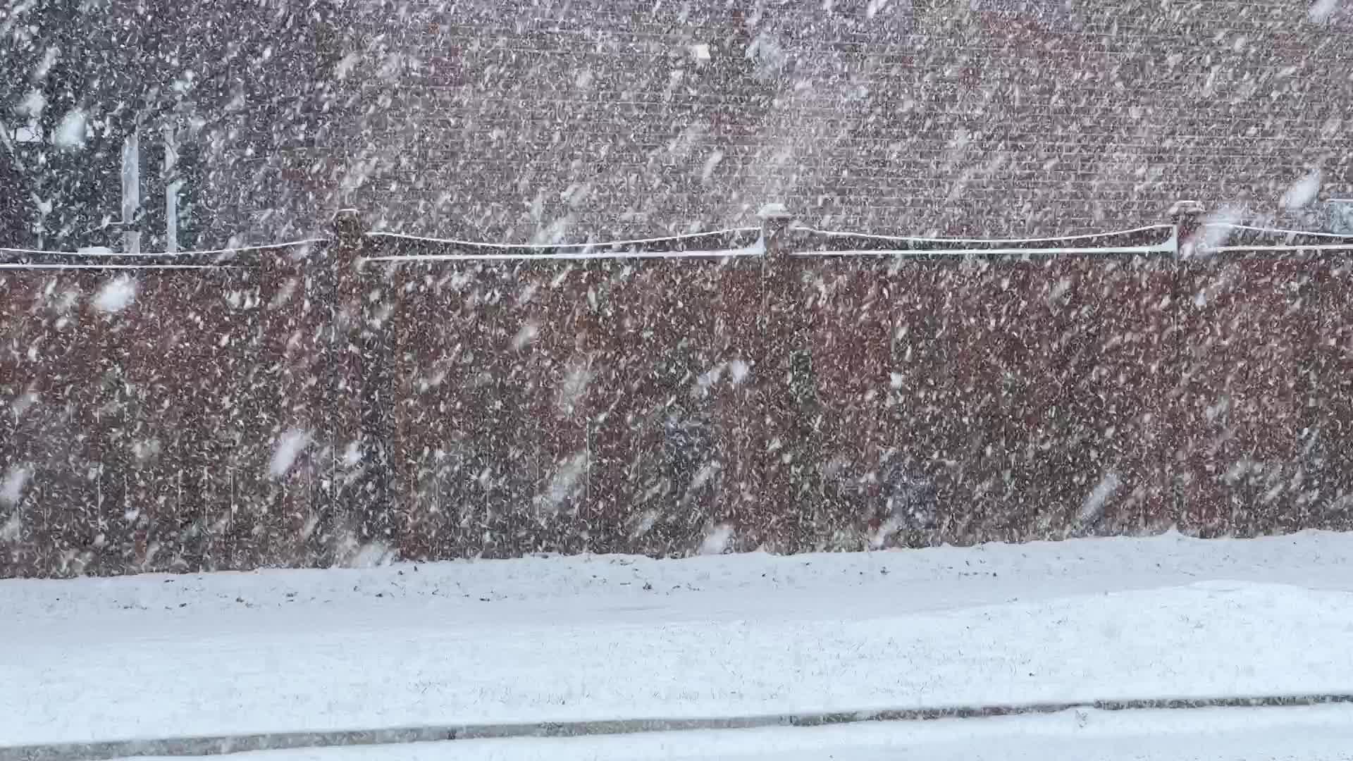 Snowstorm in Toronto, Canada