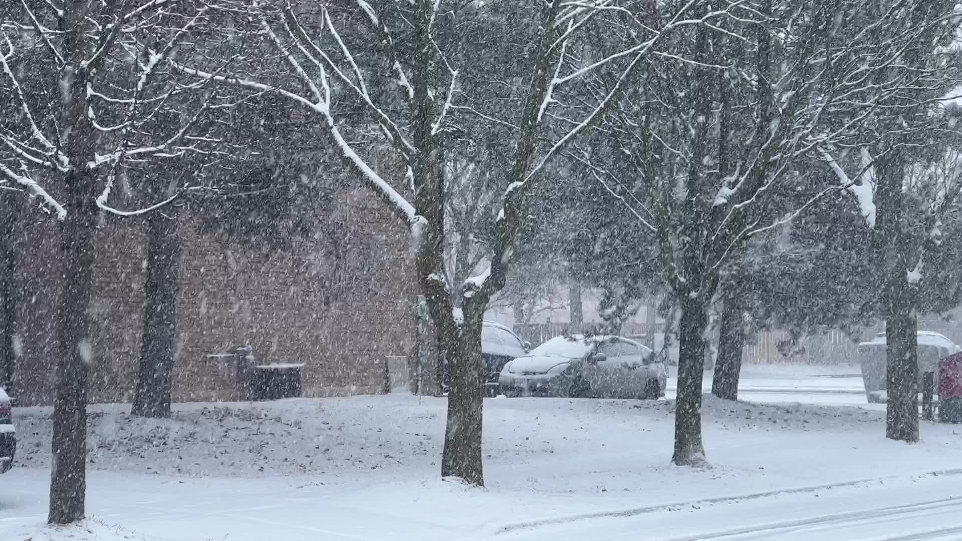 Snowstorm in Toronto, Canada