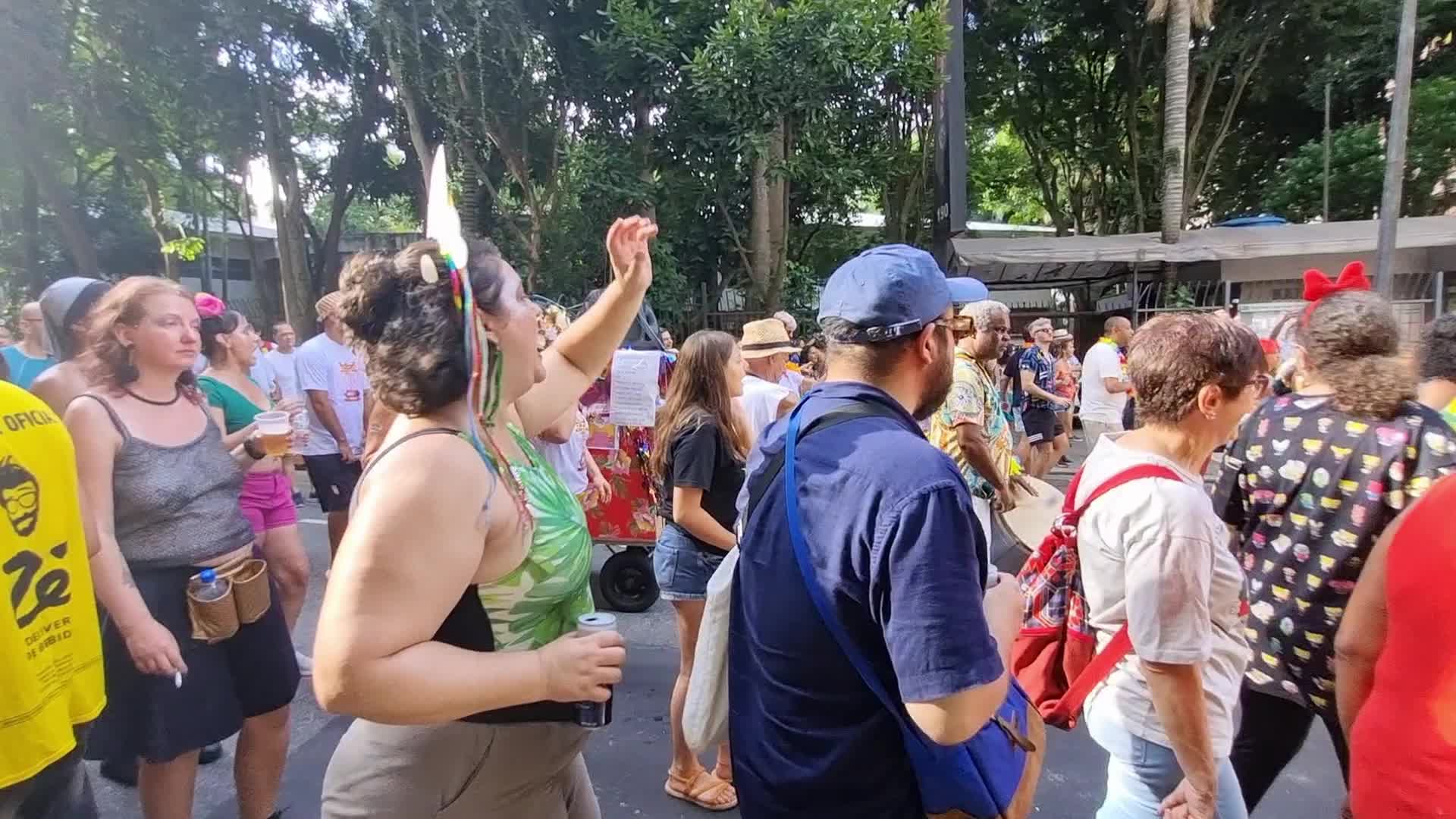 Brazil Carnival 2024 - February 13, 2024