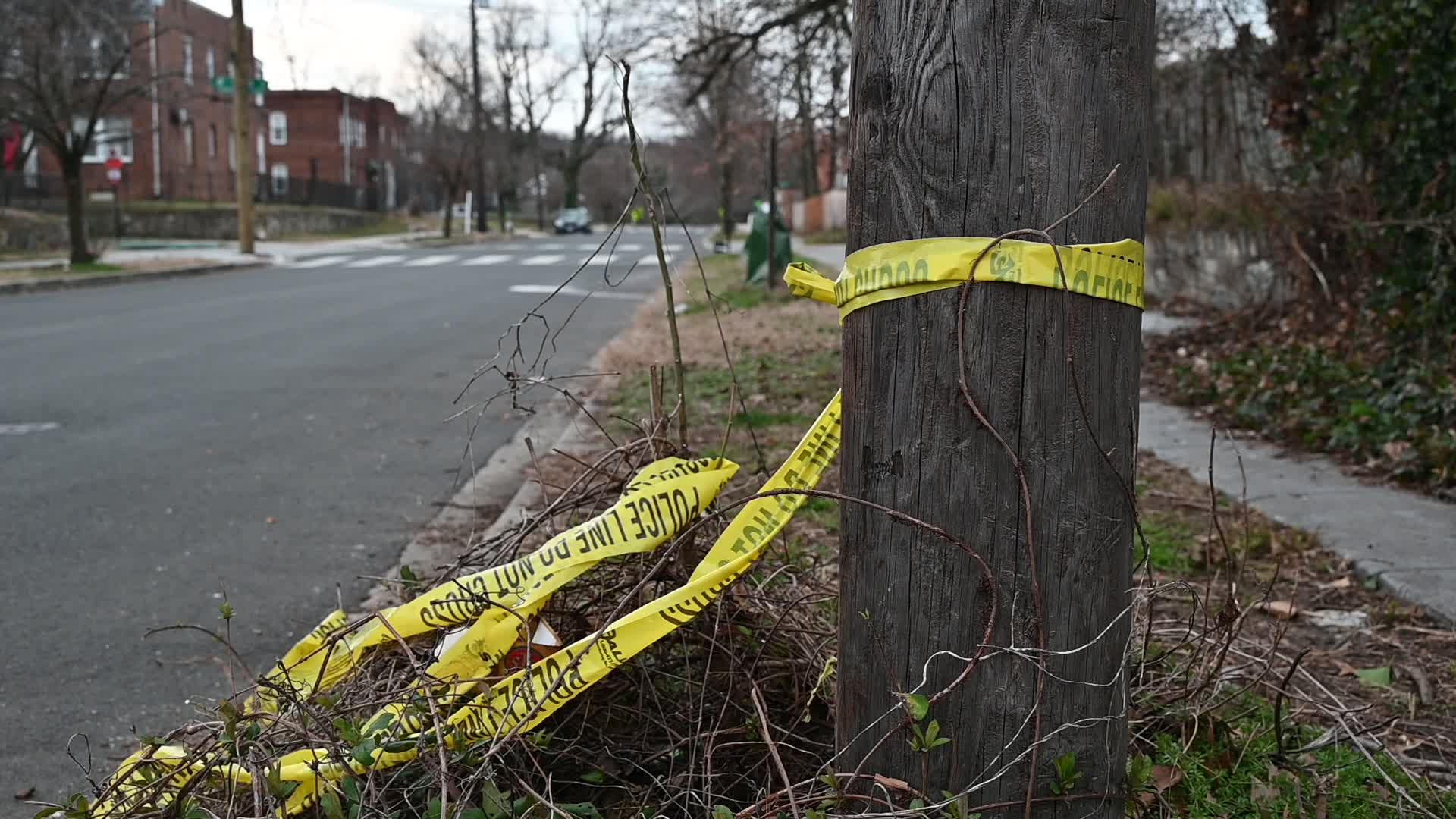 Neighbor Dispute Leads To One Person Stabbed In Washington DC