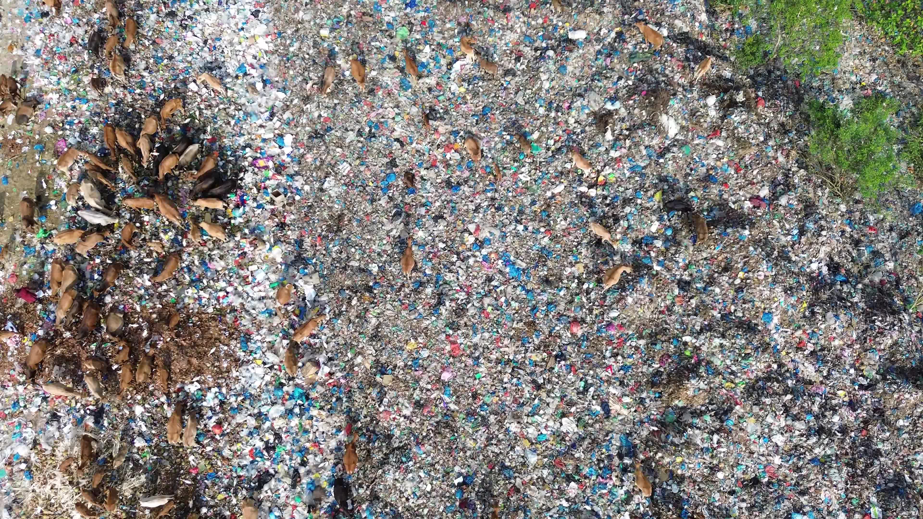 Aerial View of Landfill in Aceh