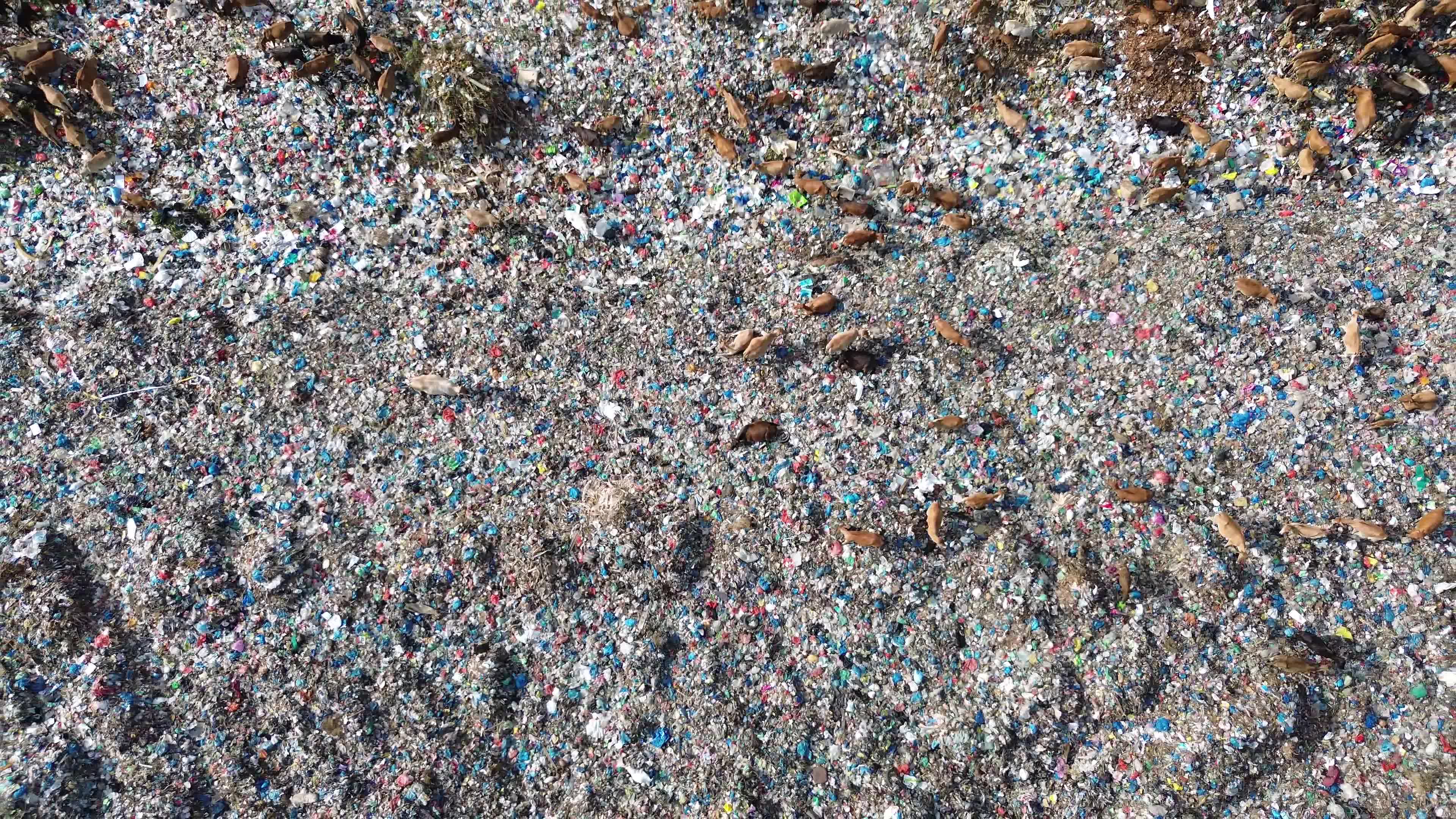 Aerial View of Landfill in Aceh