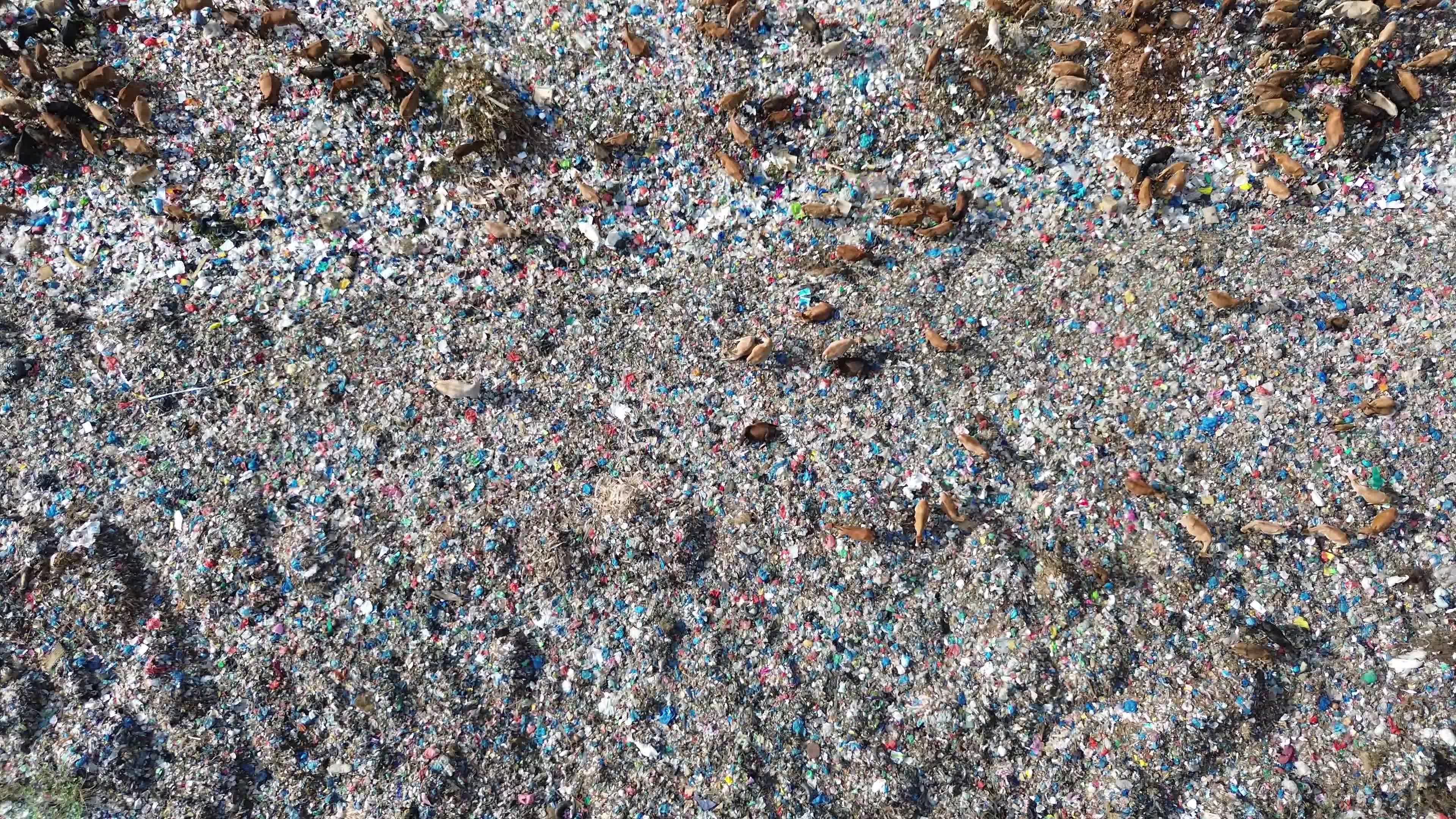 Aerial View of Landfill in Aceh