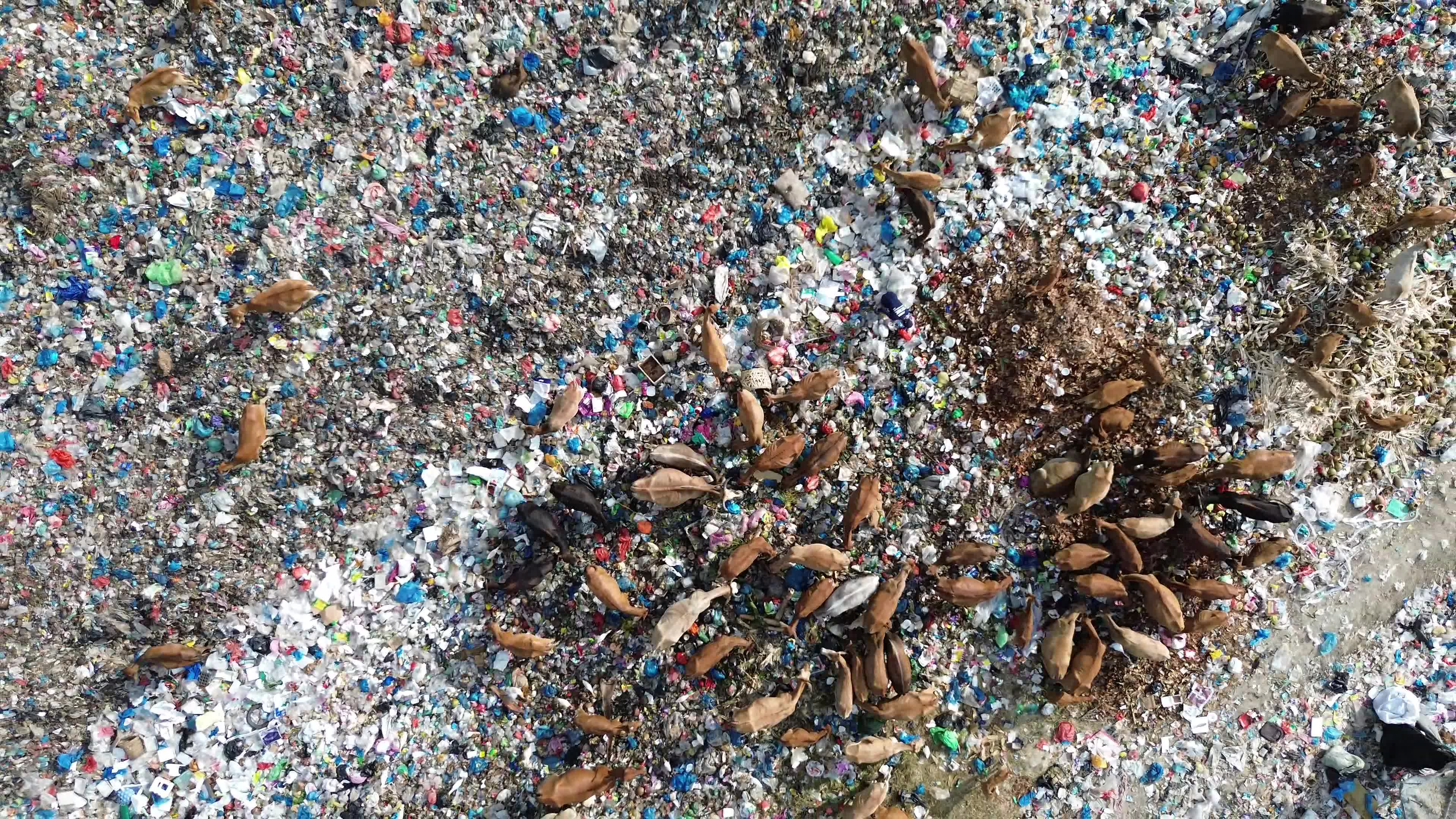 Aerial View of Landfill in Aceh