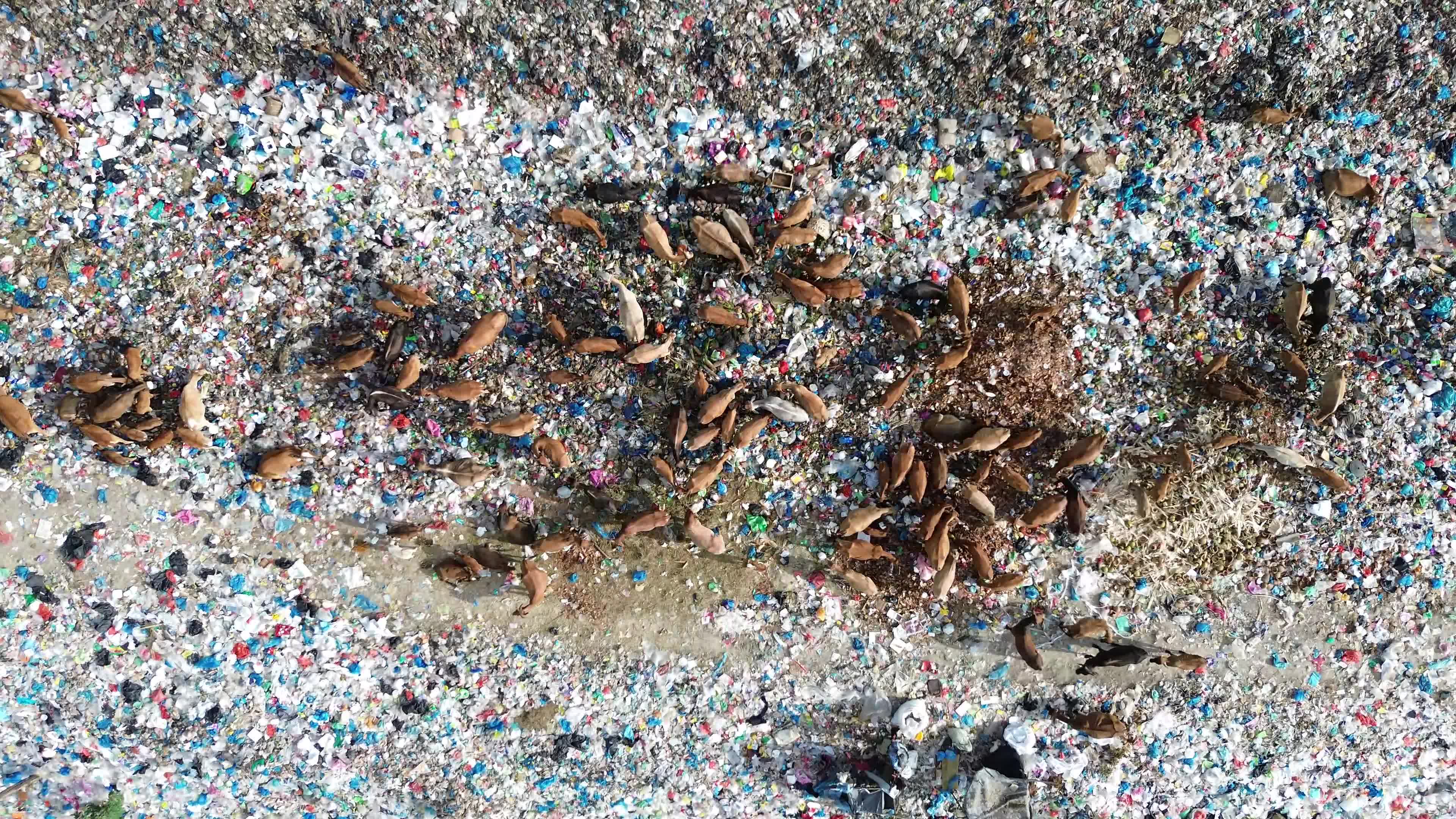 Aerial View of Landfill in Aceh