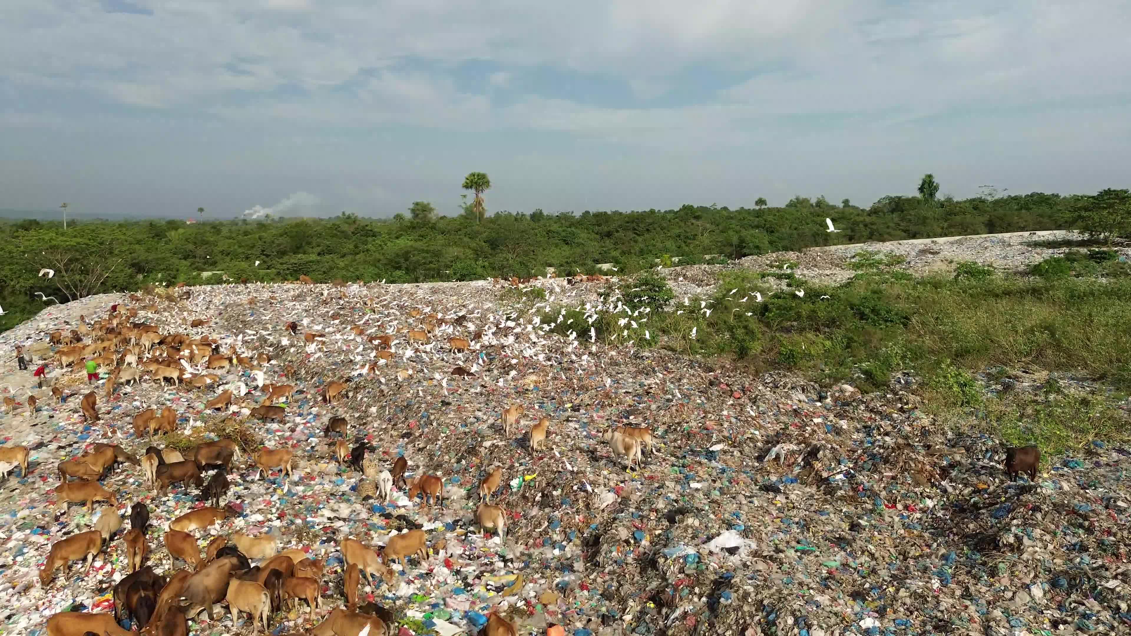 Aerial View of Landfill in Aceh