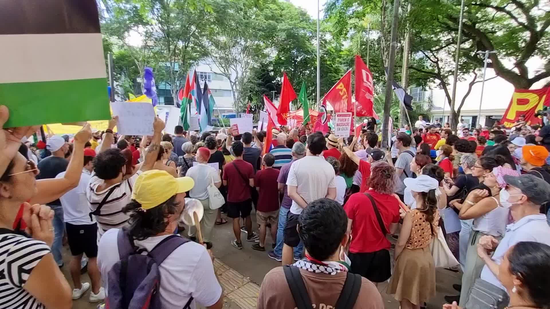 Pro Palestine Rally In Sao Paulo, Brazil