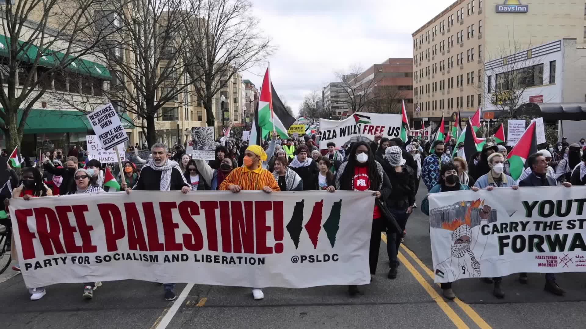 Pro-Palestine protest in Washington