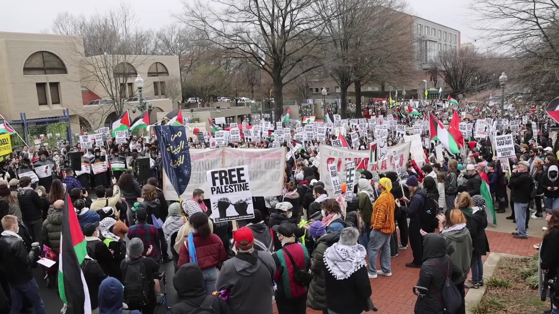 Pro-Palestine protest in Washington