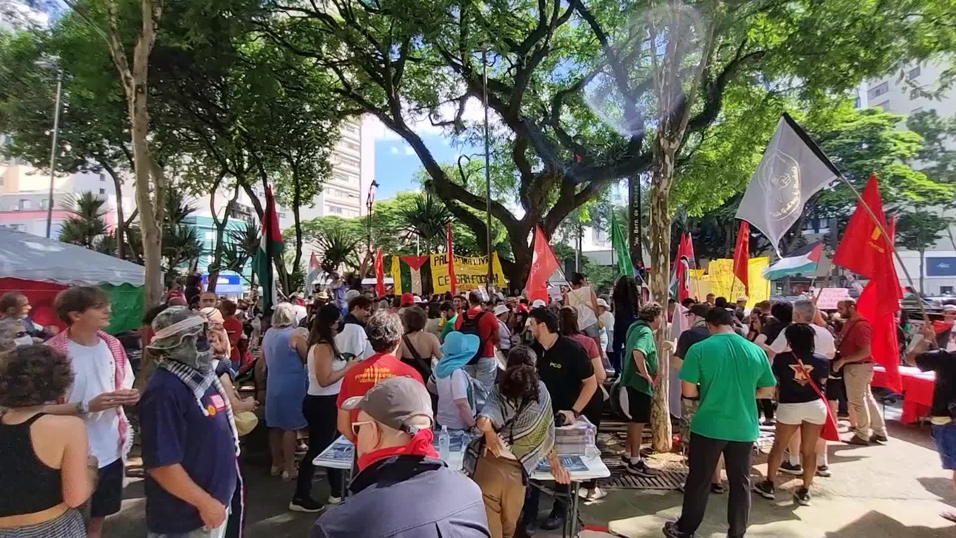 Pro Palestine Rally In Sao Paulo, Brazil
