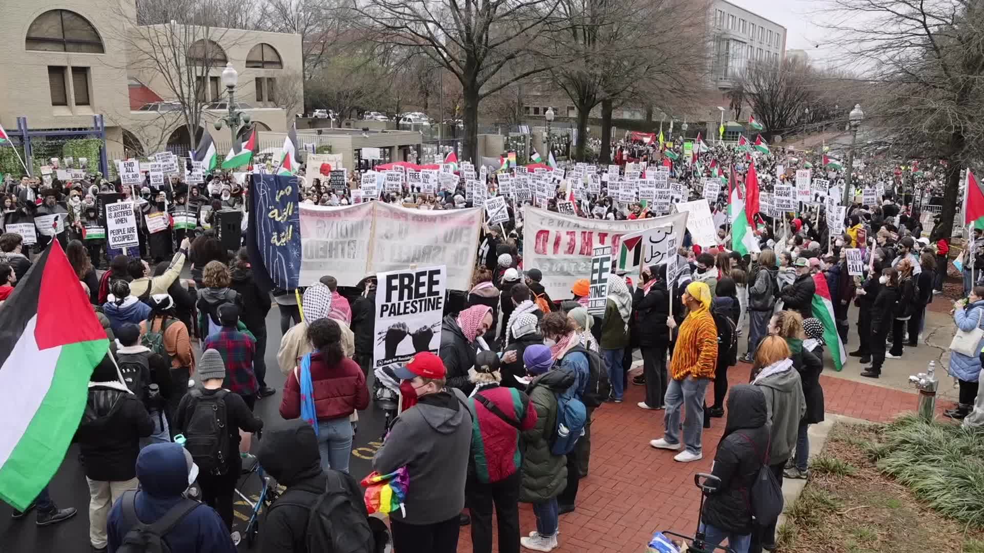 Pro-Palestine protest in Washington