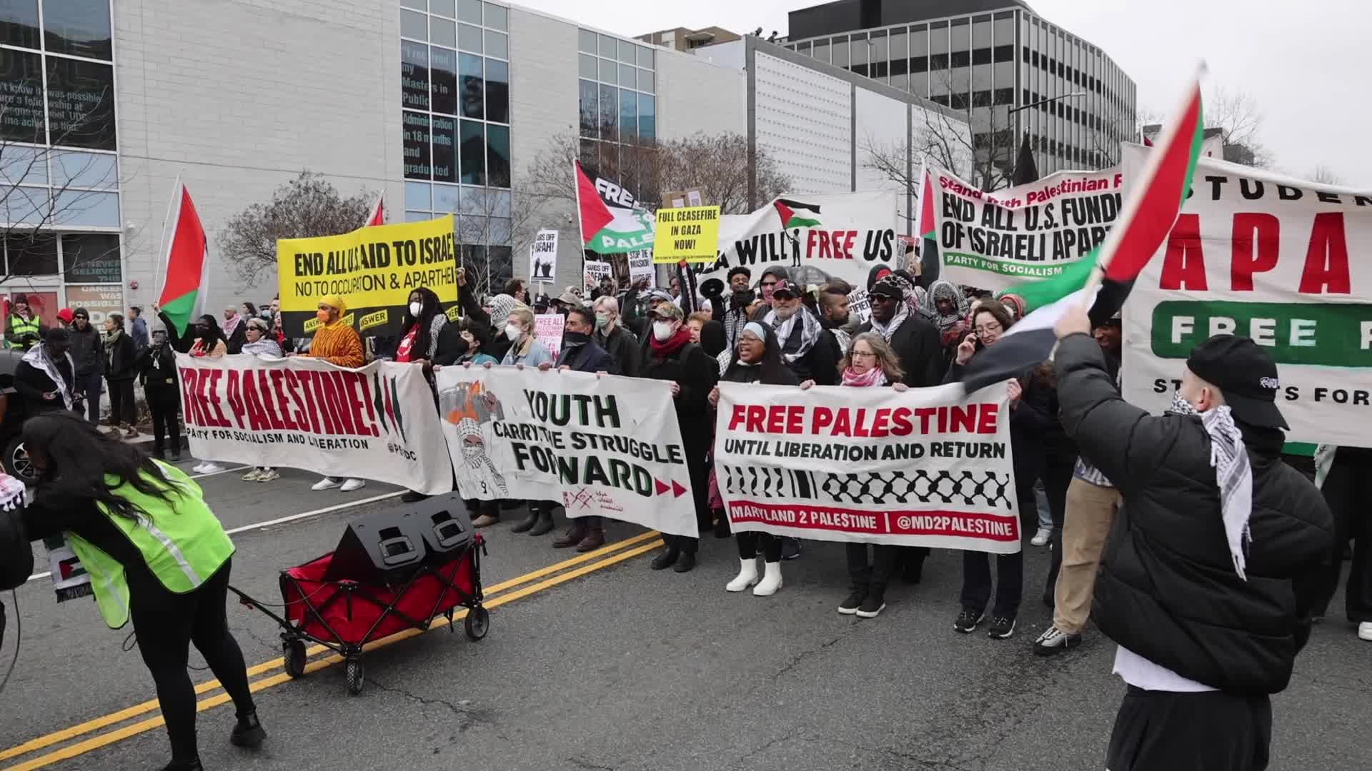Pro-Palestine protest in Washington