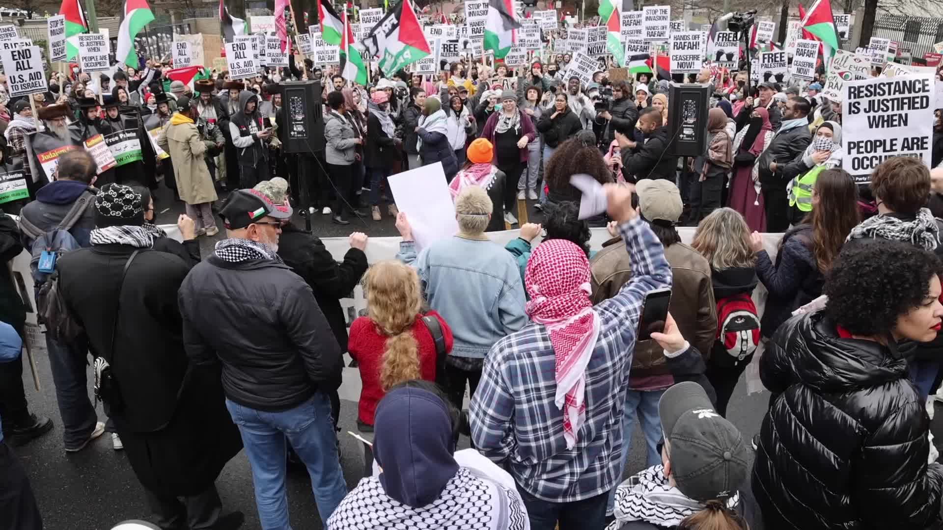 Pro-Palestine protest in Washington