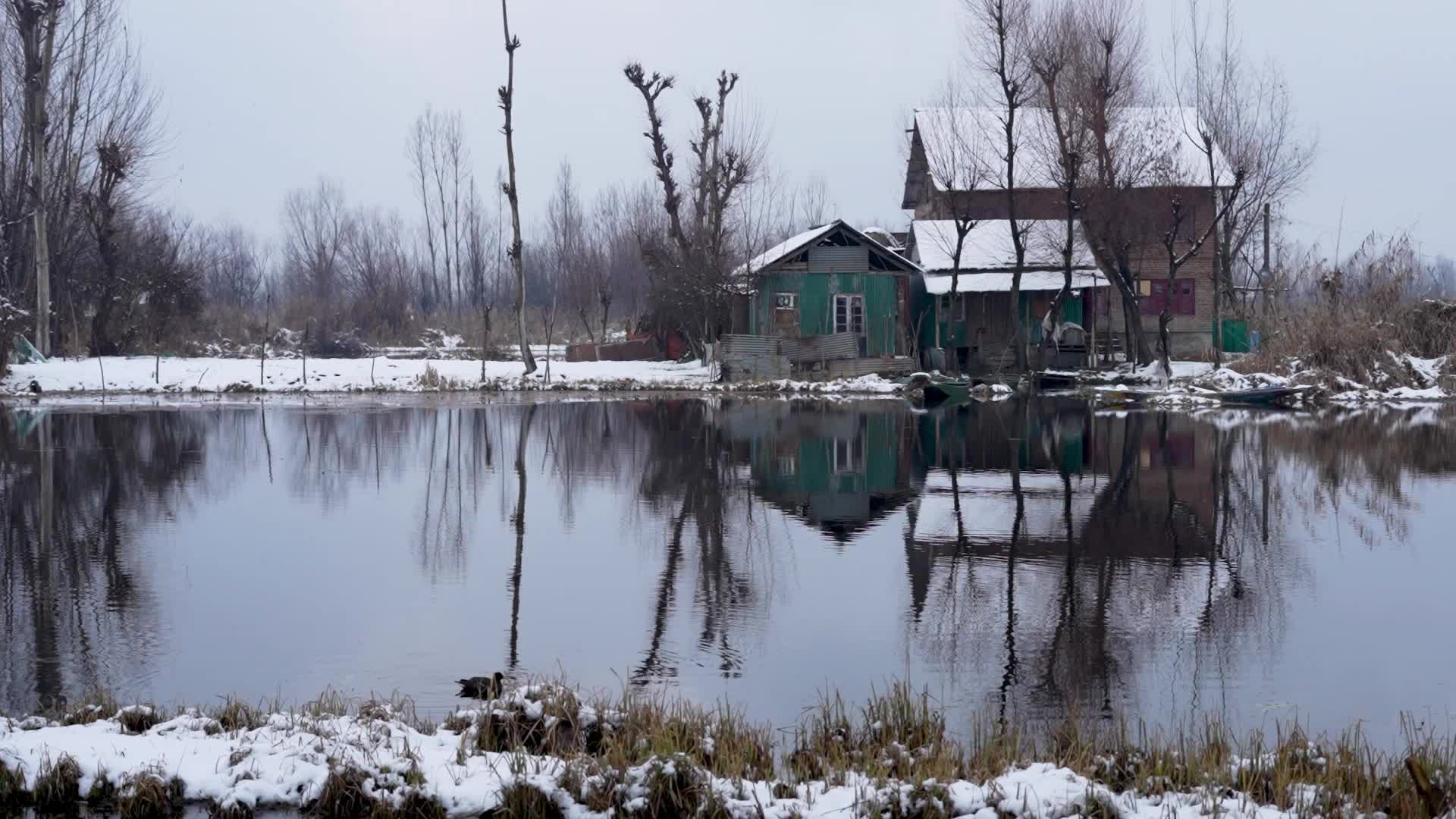 Snowfall In Kashmir