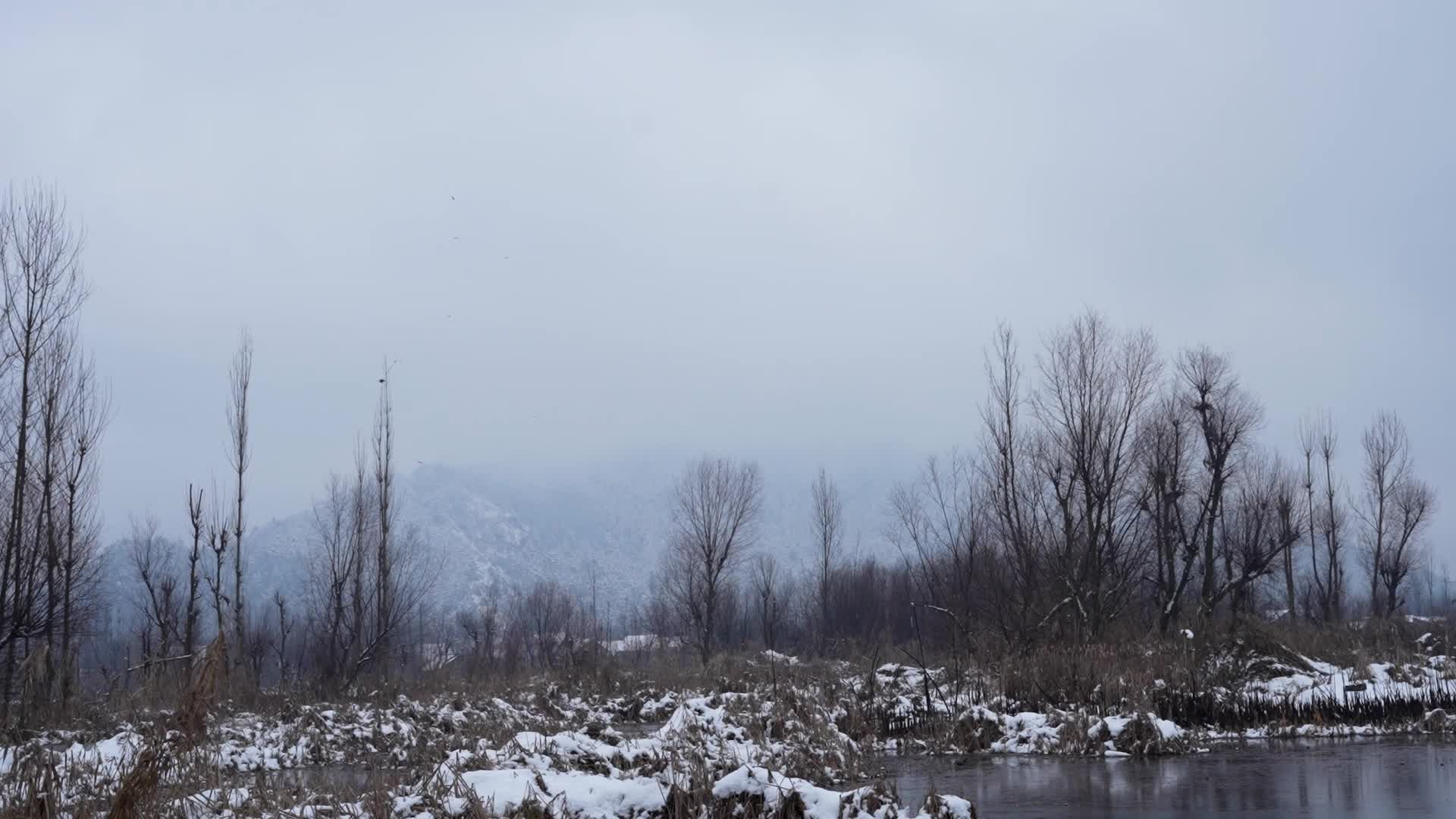Snowfall In Kashmir