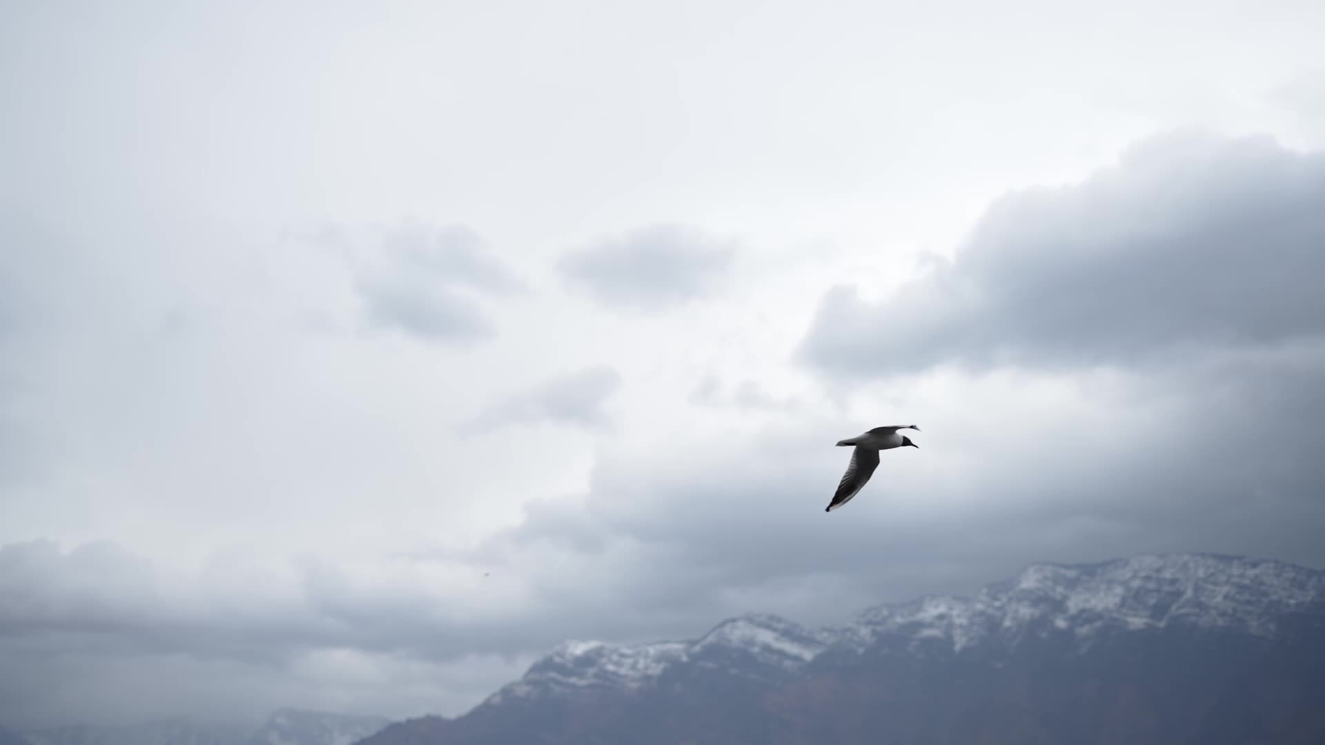 Gusty winds and rains in Kashmir