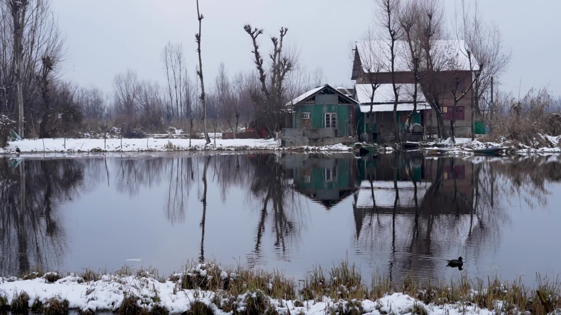Snowfall In Kashmir