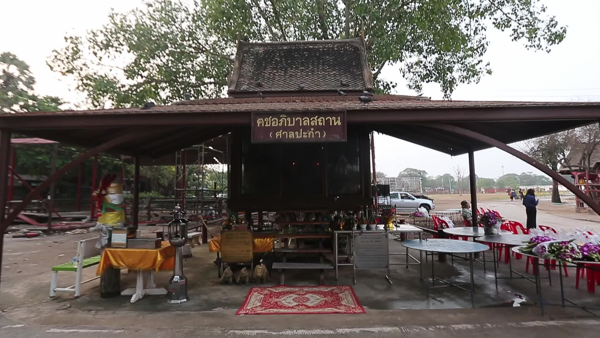  Thailand's national elephant day celebration