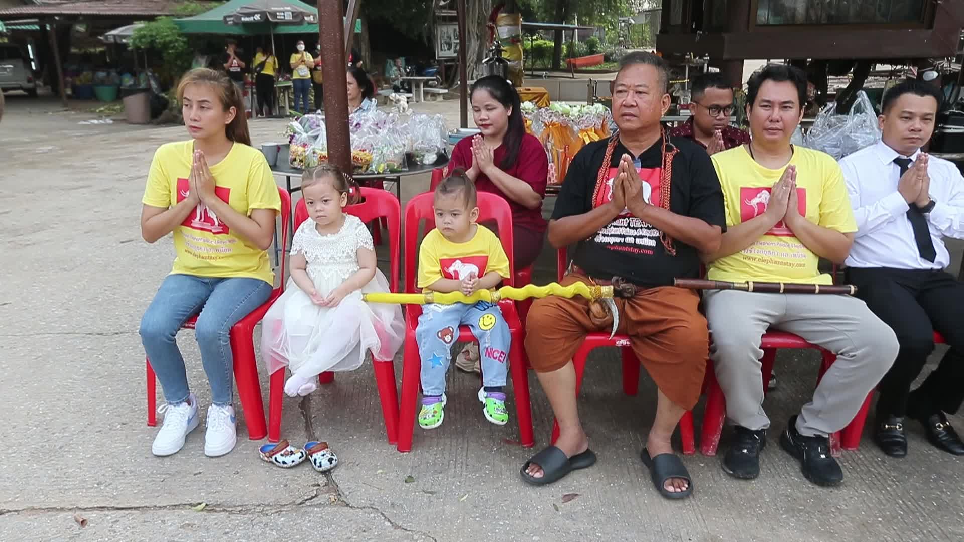  Thailand's national elephant day celebration