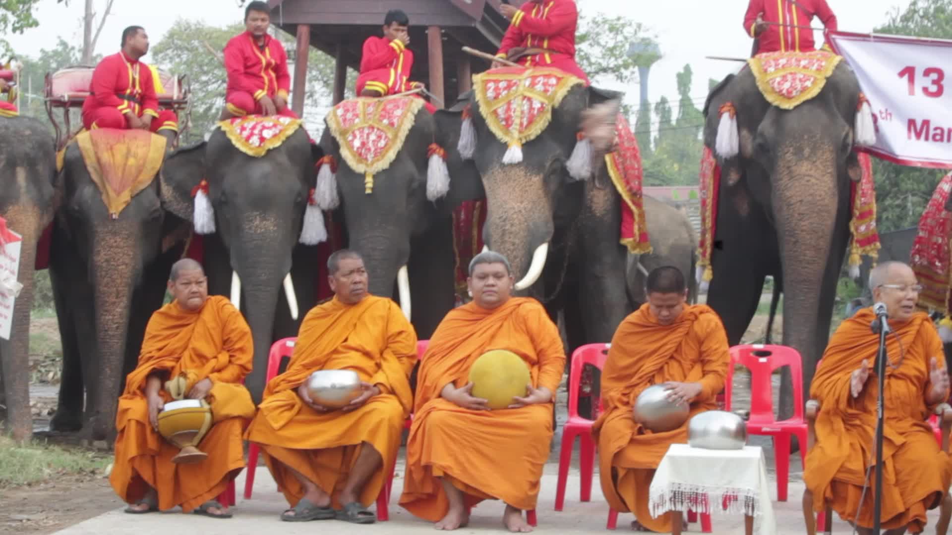  Thailand's national elephant day celebration