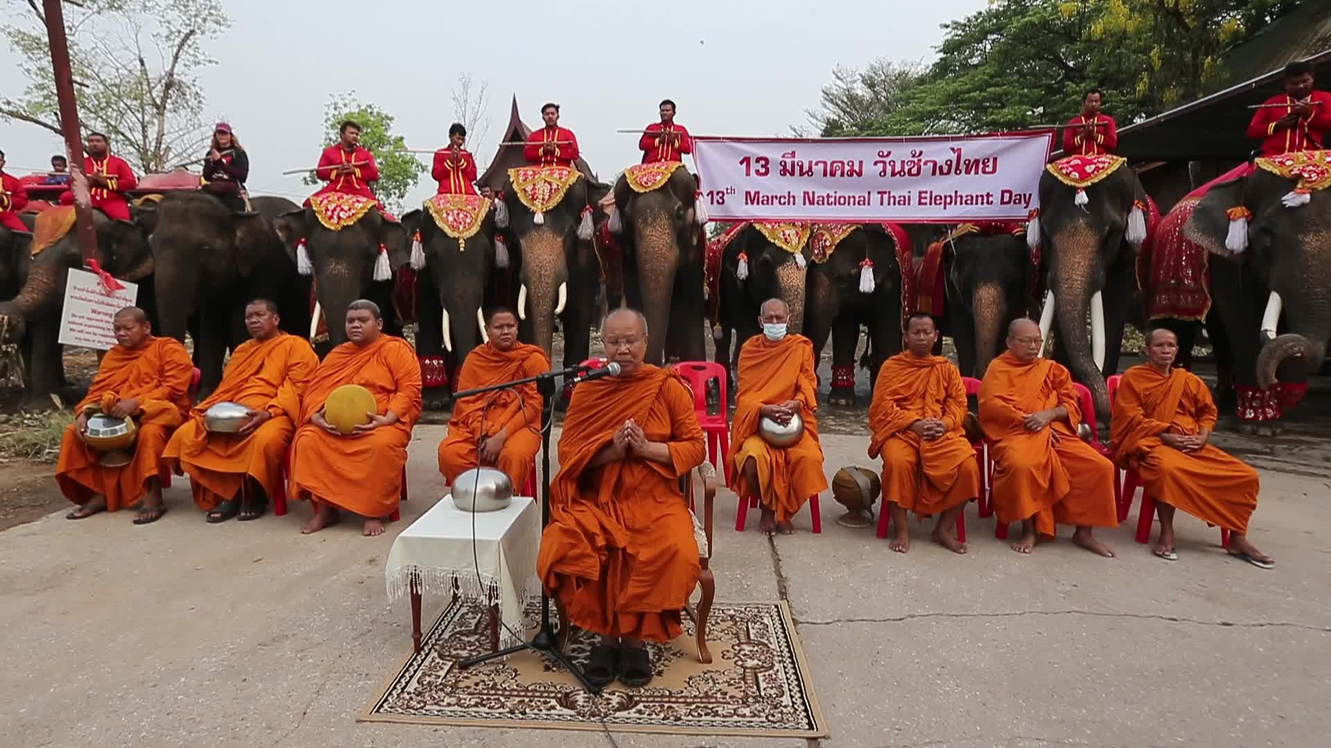  Thailand's national elephant day celebration