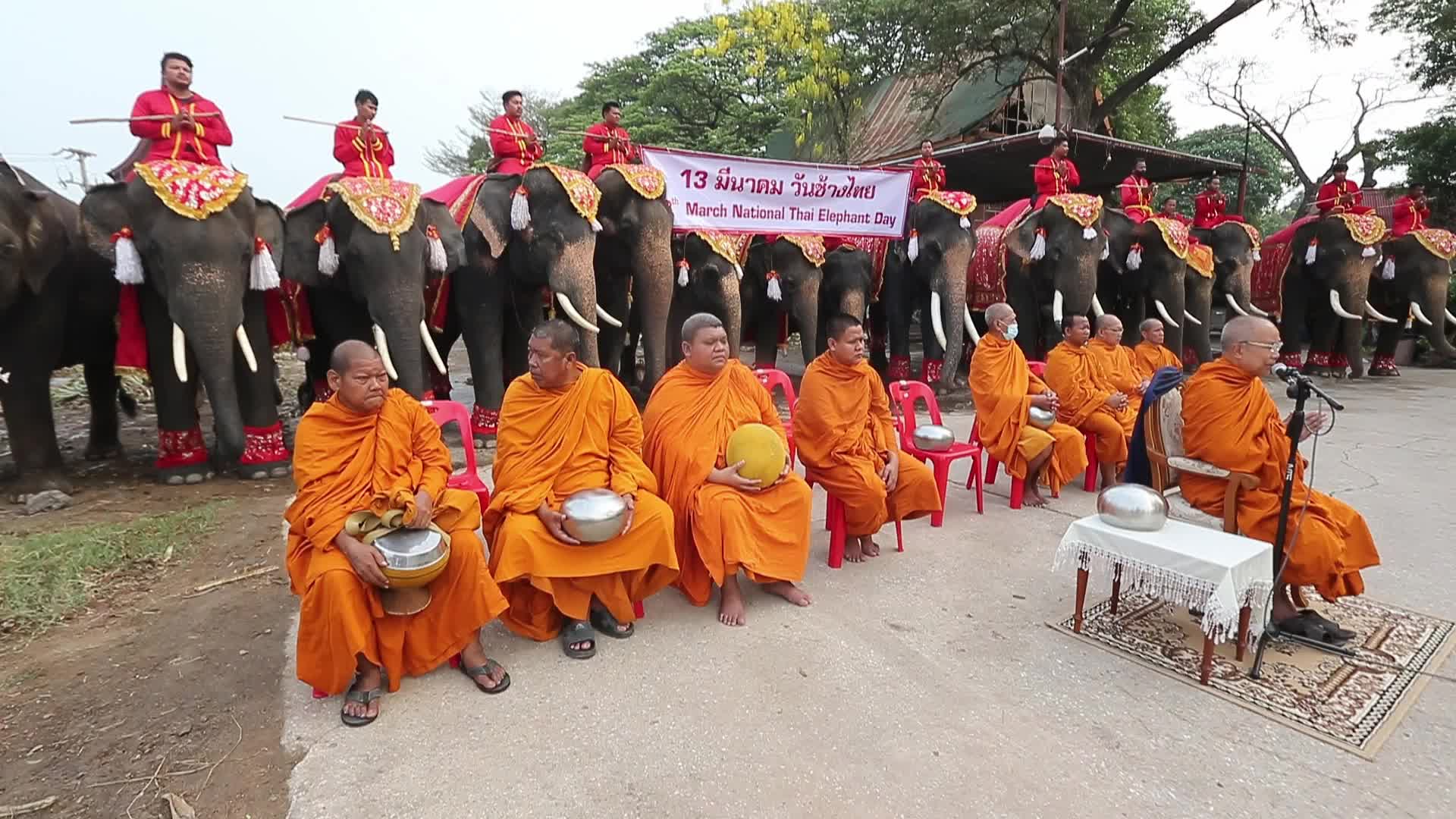  Thailand's national elephant day celebration