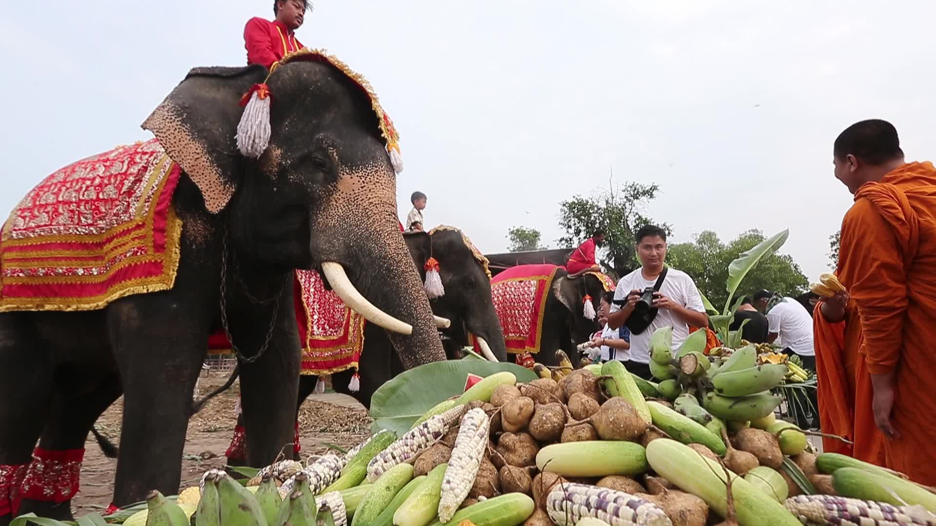  Thailand's national elephant day celebration