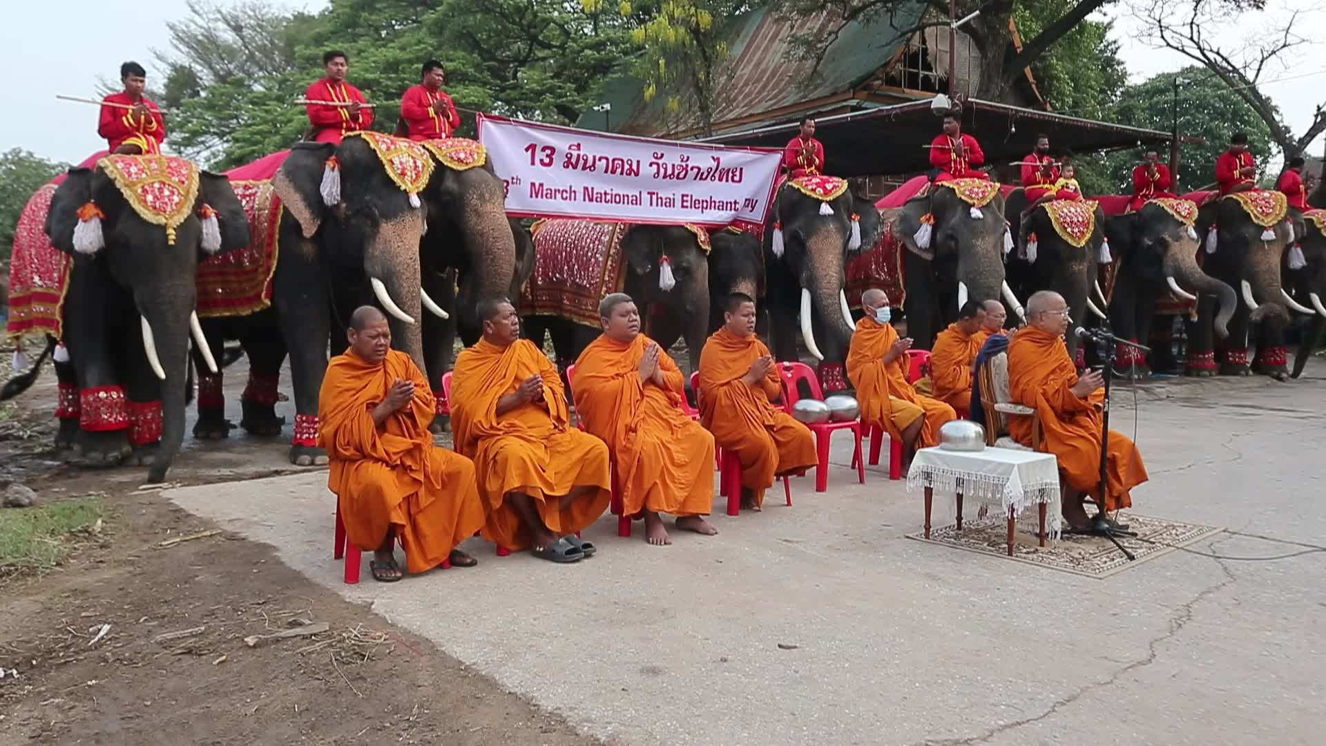  Thailand's national elephant day celebration