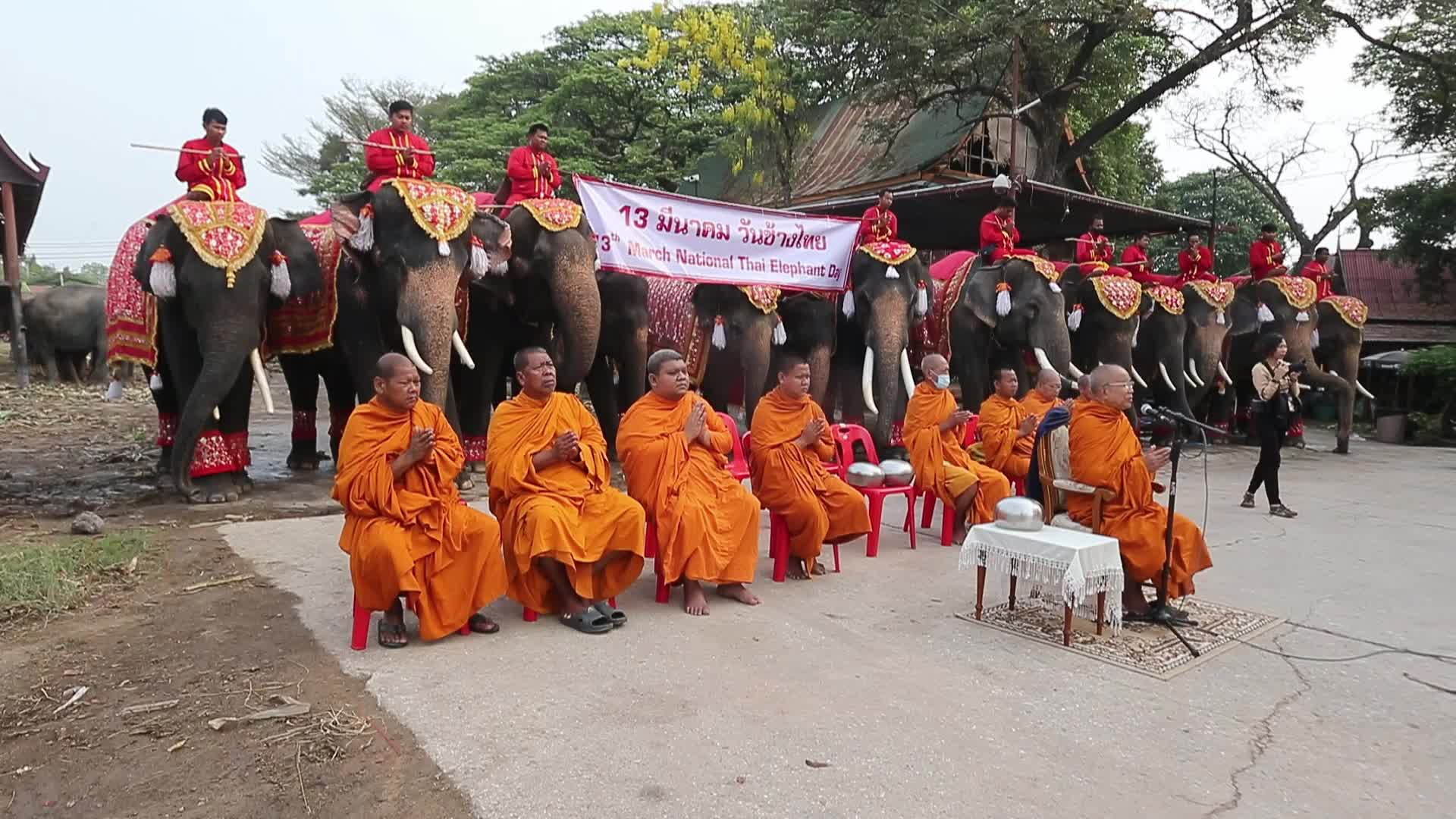  Thailand's national elephant day celebration