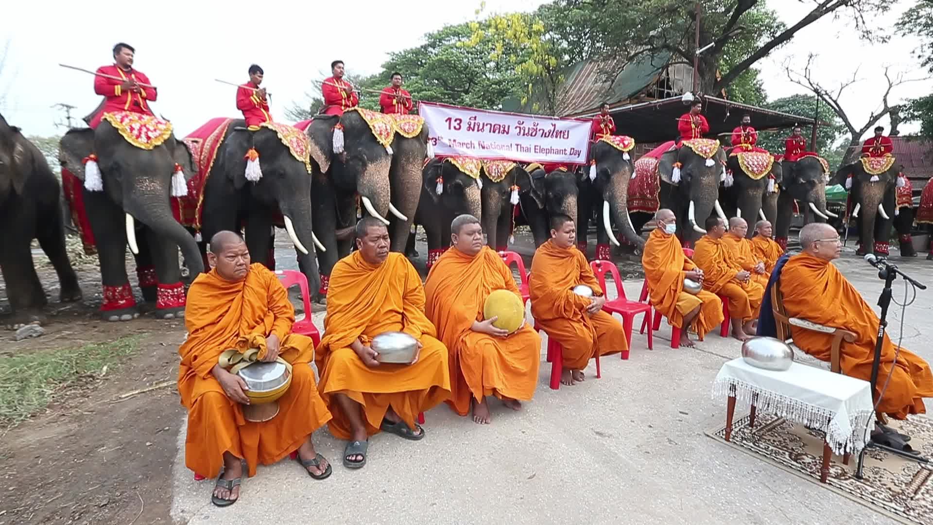  Thailand's national elephant day celebration
