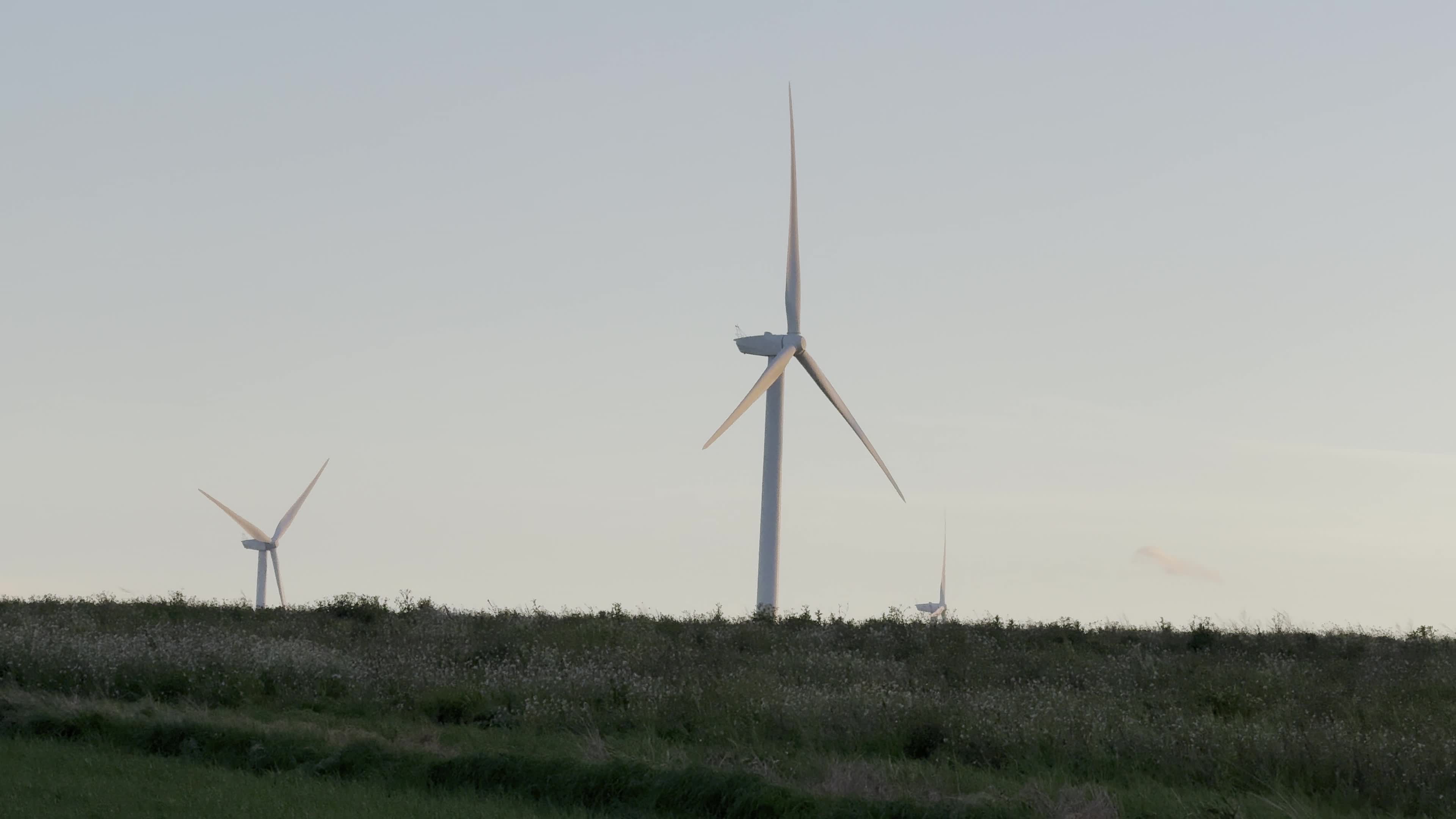 Wind Farm In Puglia