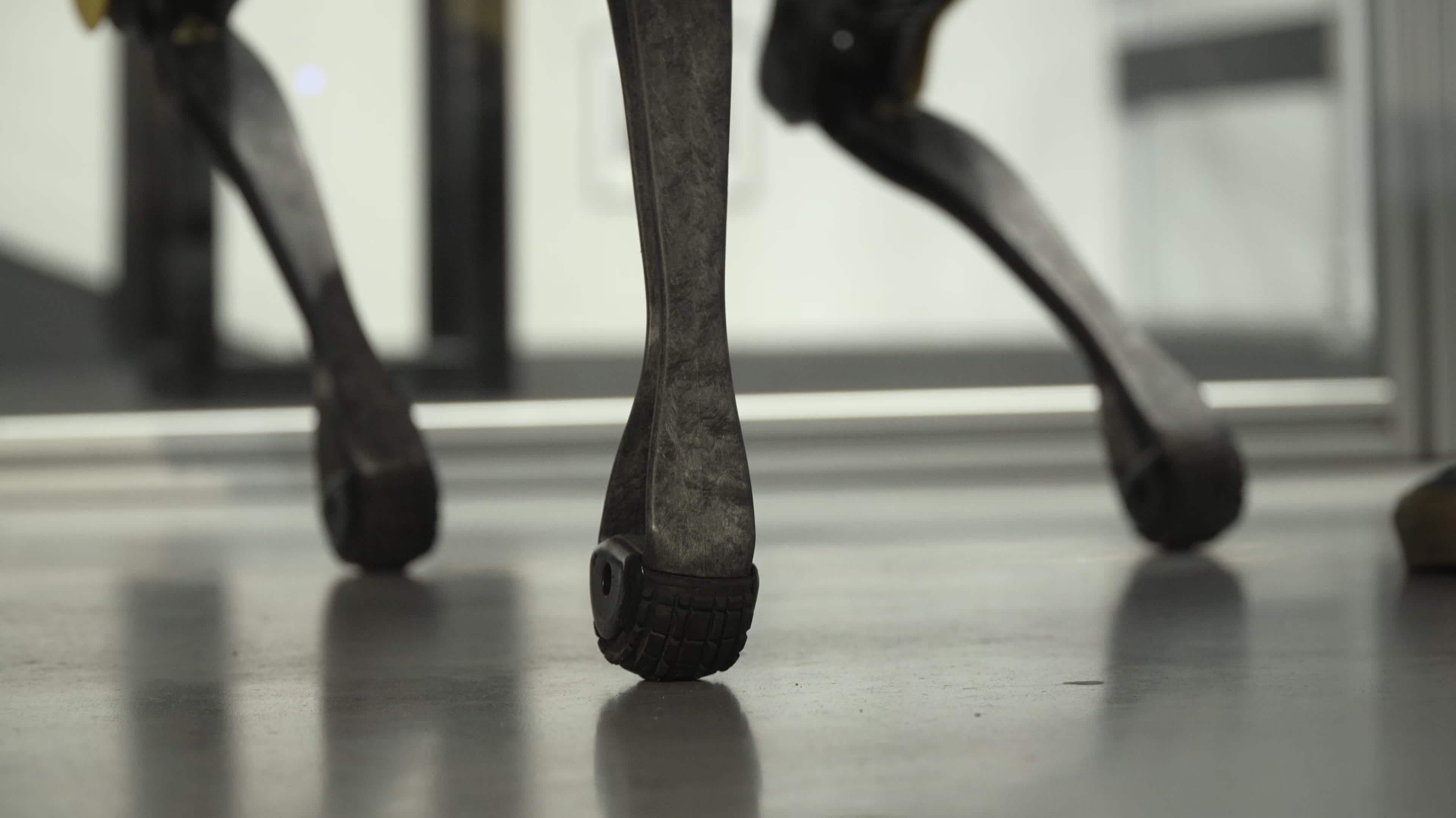 Polish Museum Acquires New Robotic Dog