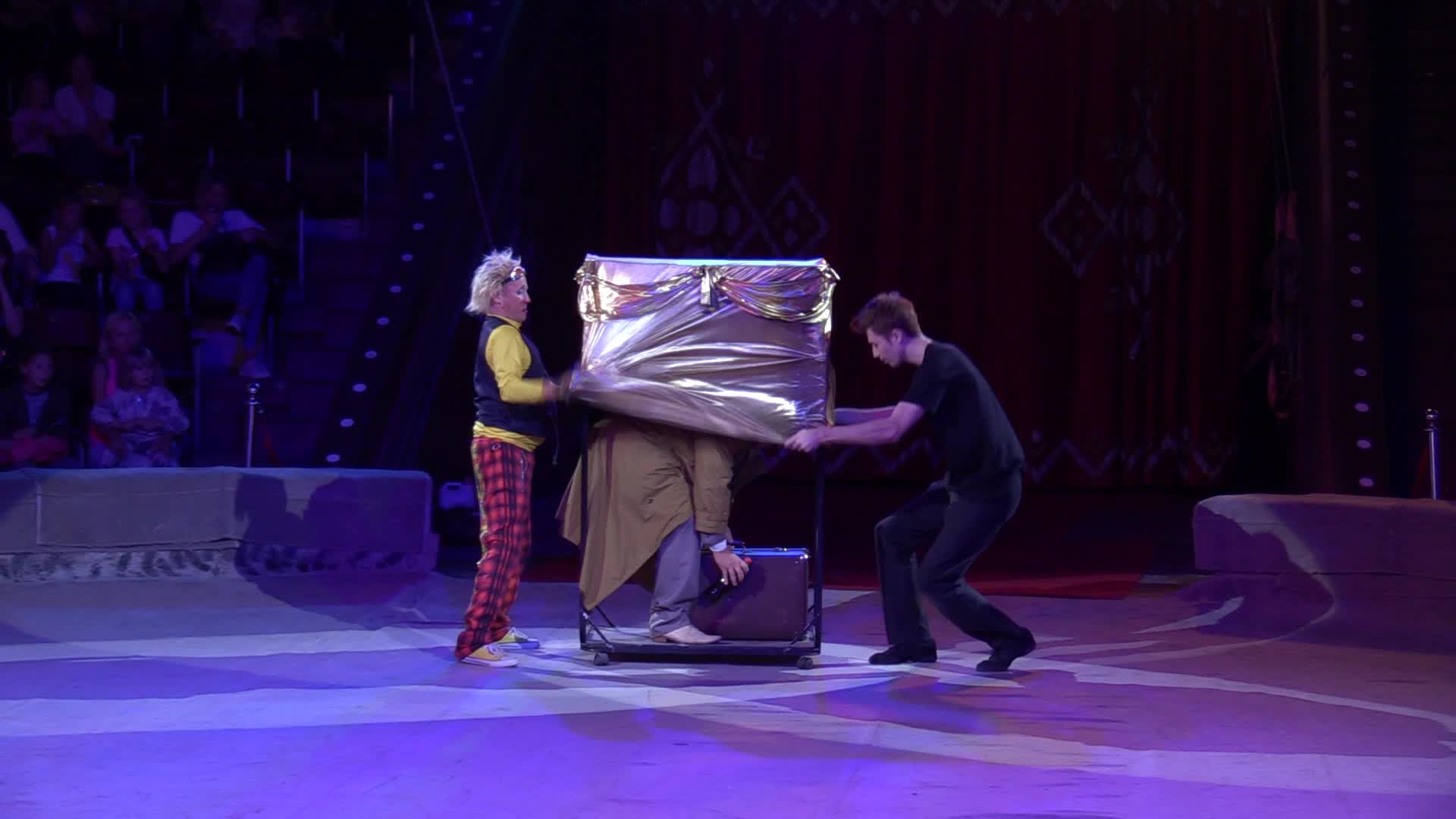 Ukrainian National Circus presents new show in Kiev
