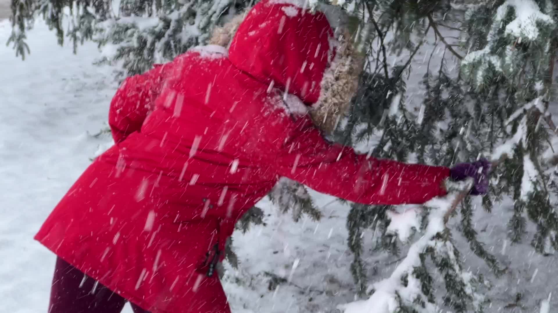 Snowstorm in Toronto, Canada