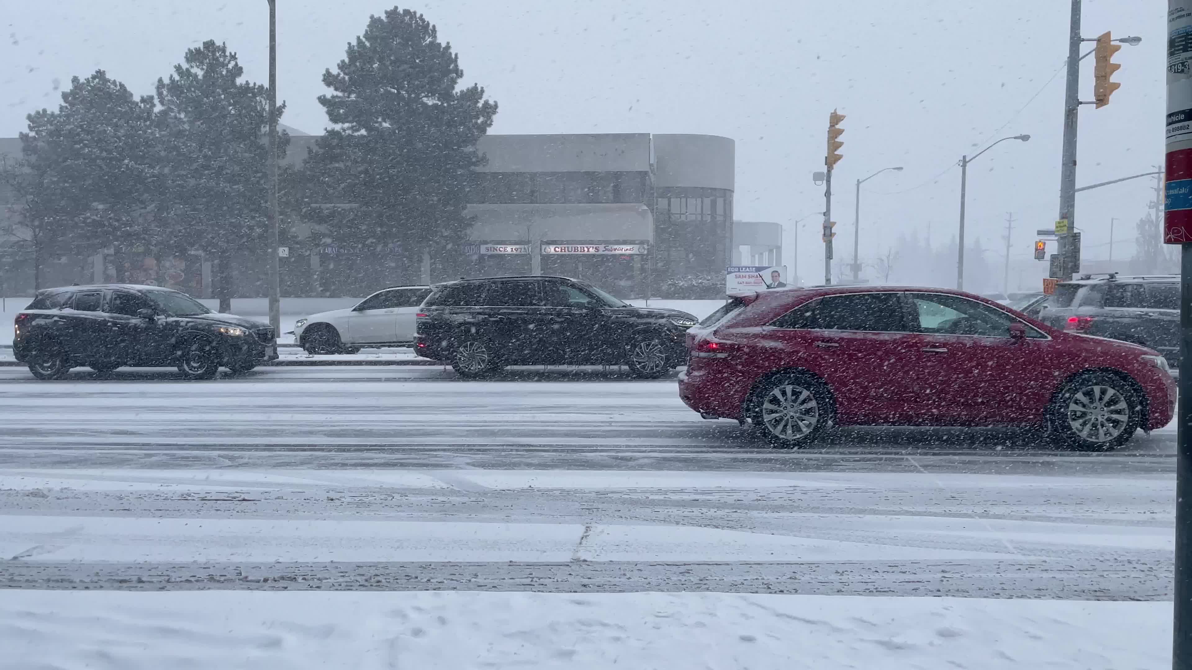 Snowfall in Toronto, Canada 