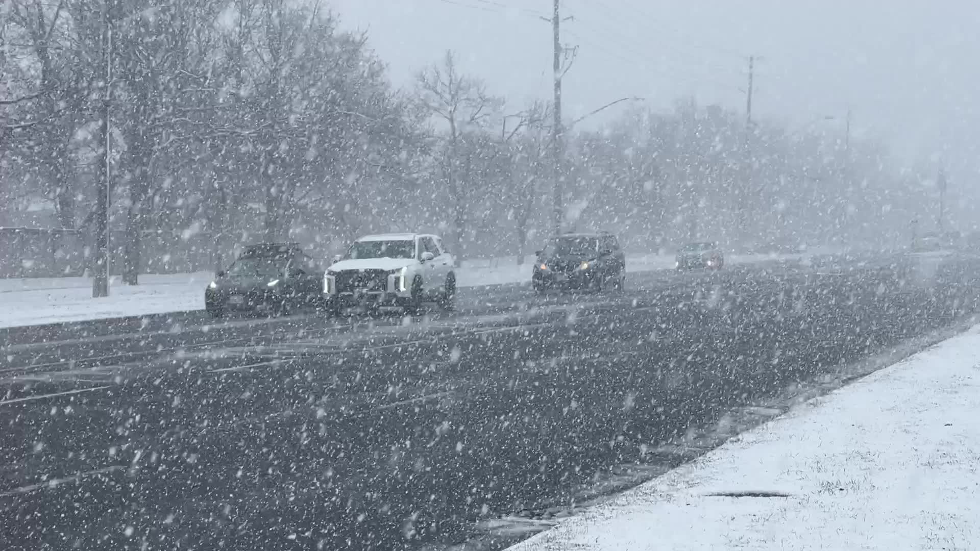 Snowstorm in Toronto, Canada