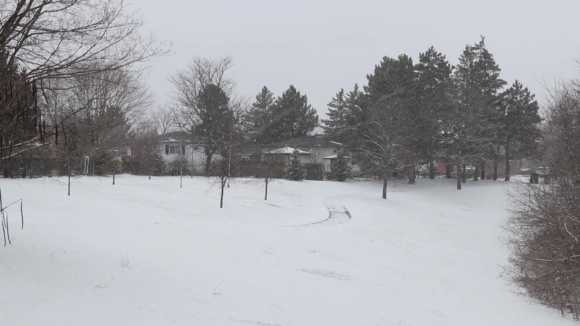 Snowfall in Toronto, Canada 