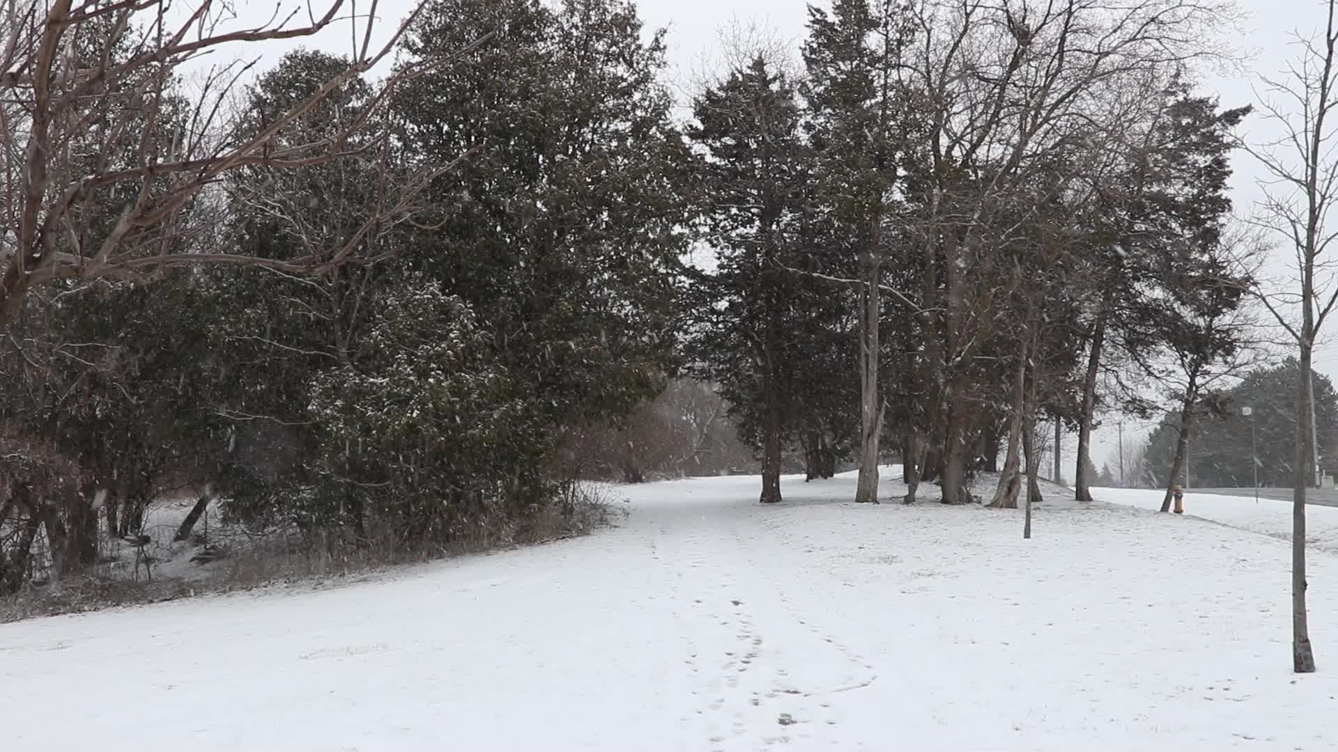 Snowfall in Toronto, Canada 
