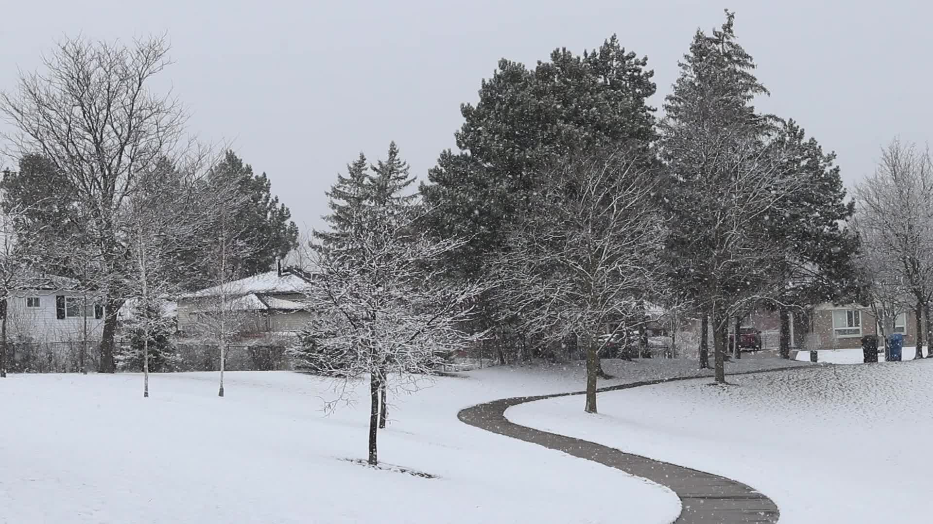 Snowfall in Toronto, Canada 