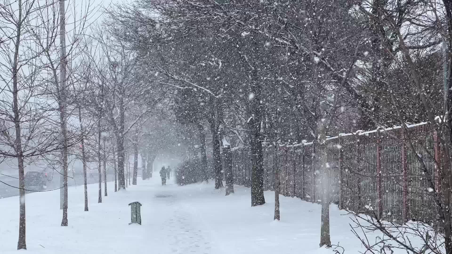 Snowstorm in Toronto, Canada