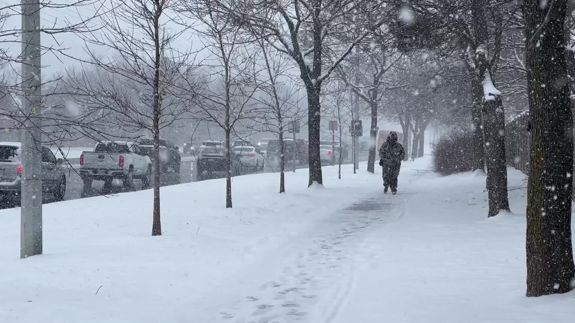 Snowstorm in Toronto, Canada