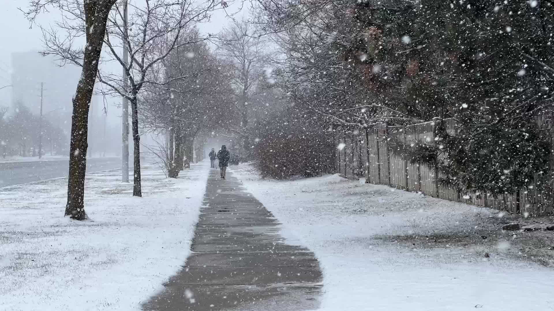 Snowstorm in Toronto, Canada