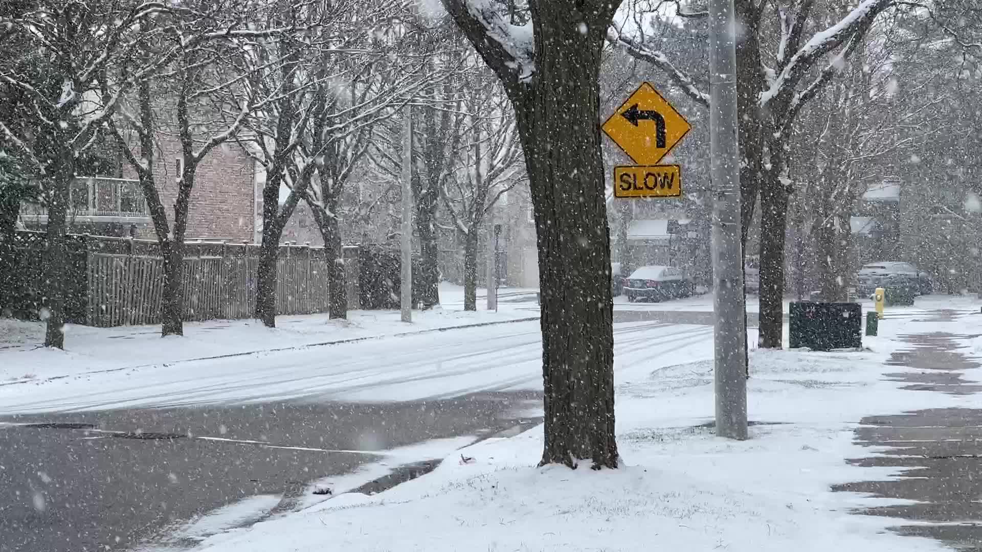 Snowstorm in Toronto, Canada