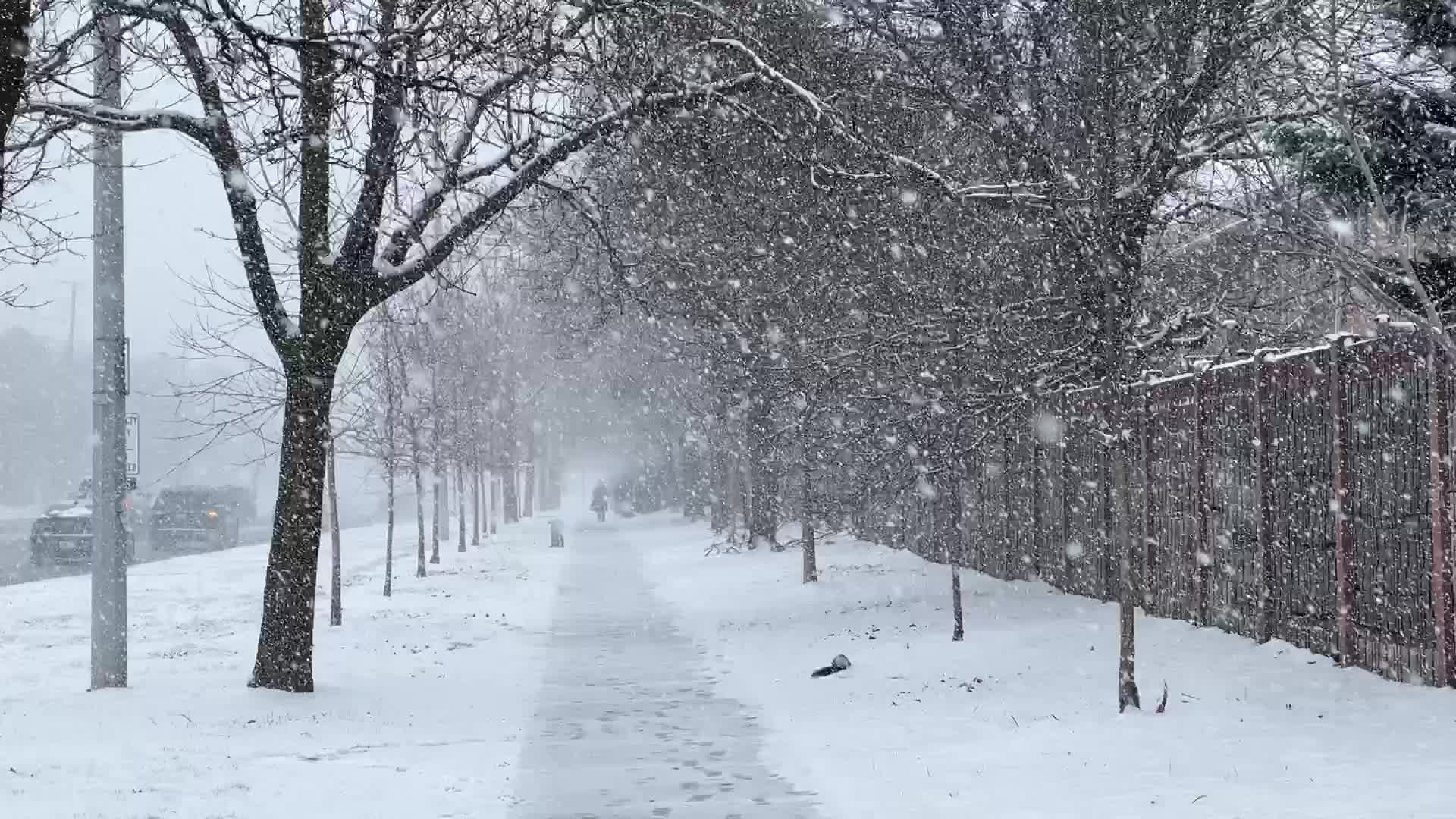 Snowstorm in Toronto, Canada